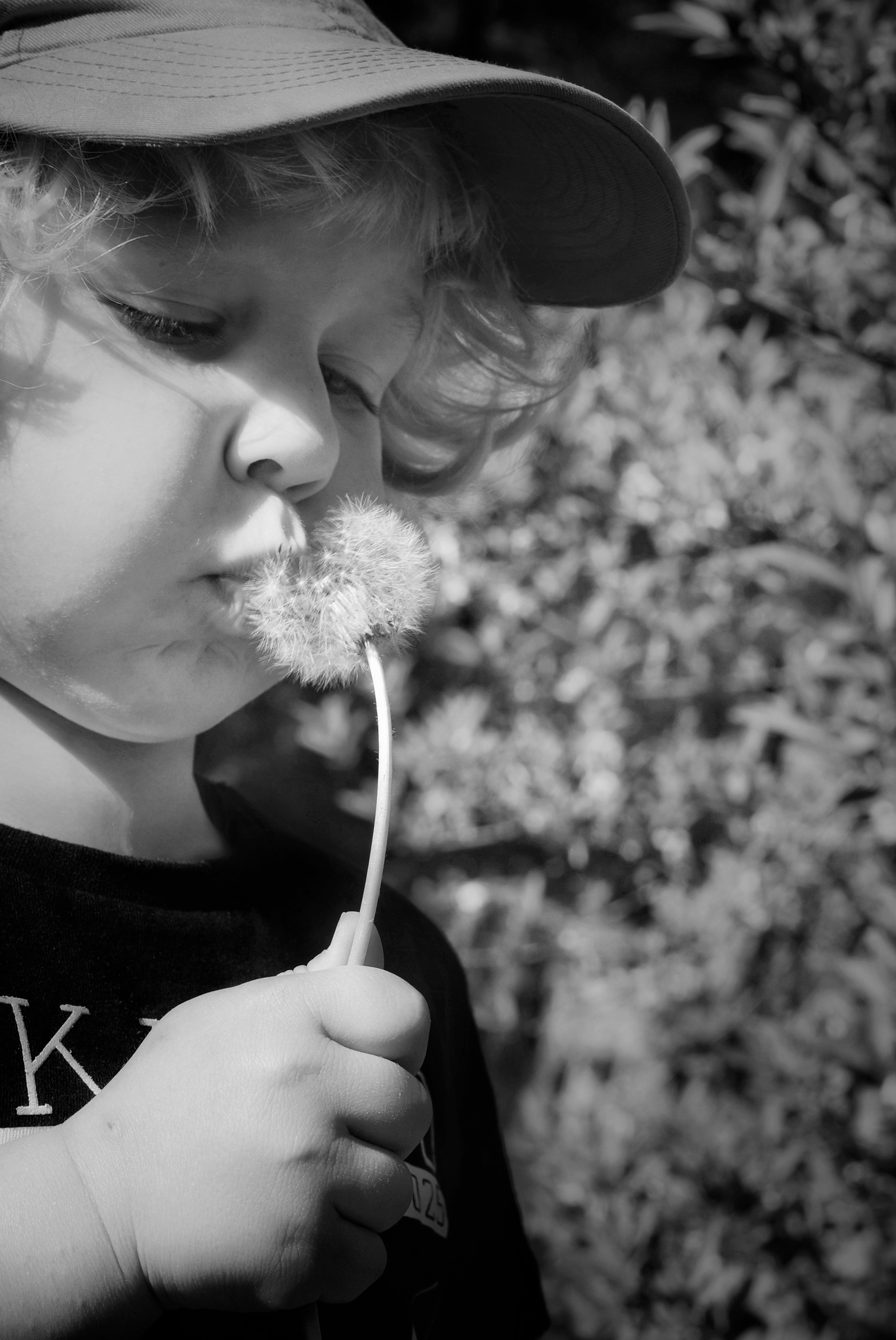 Make a wish