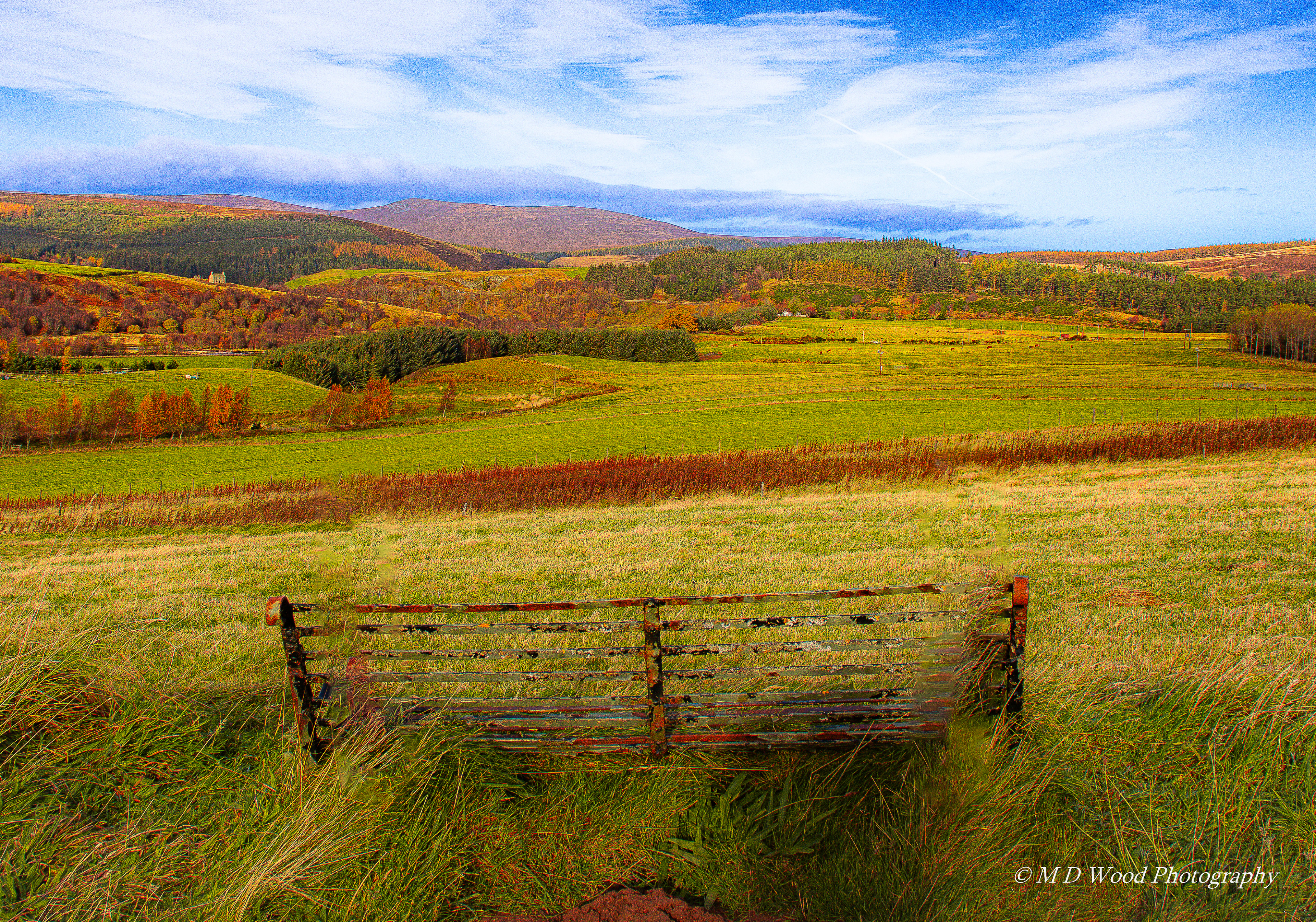 Tomintoul