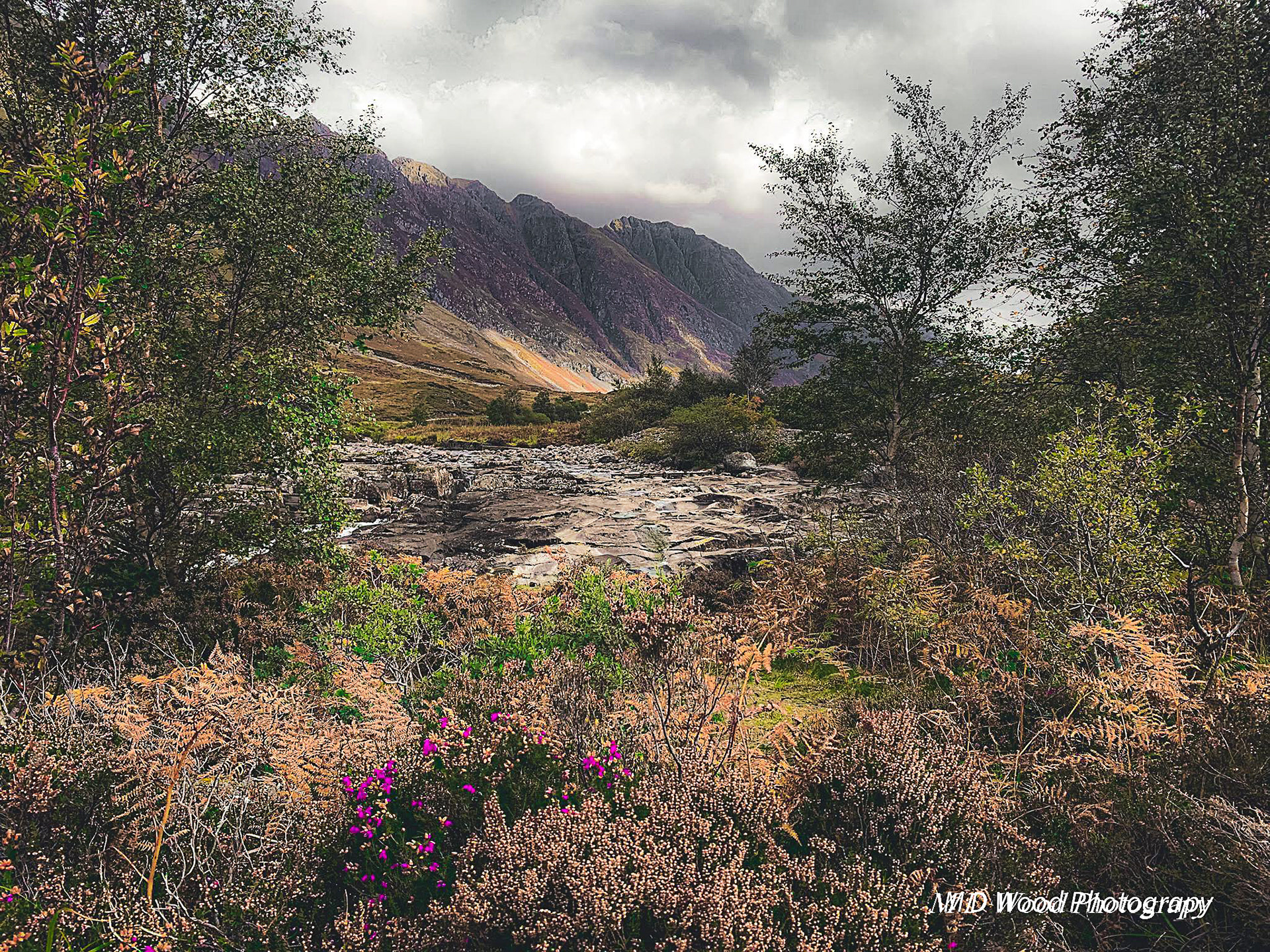 Glencoe 