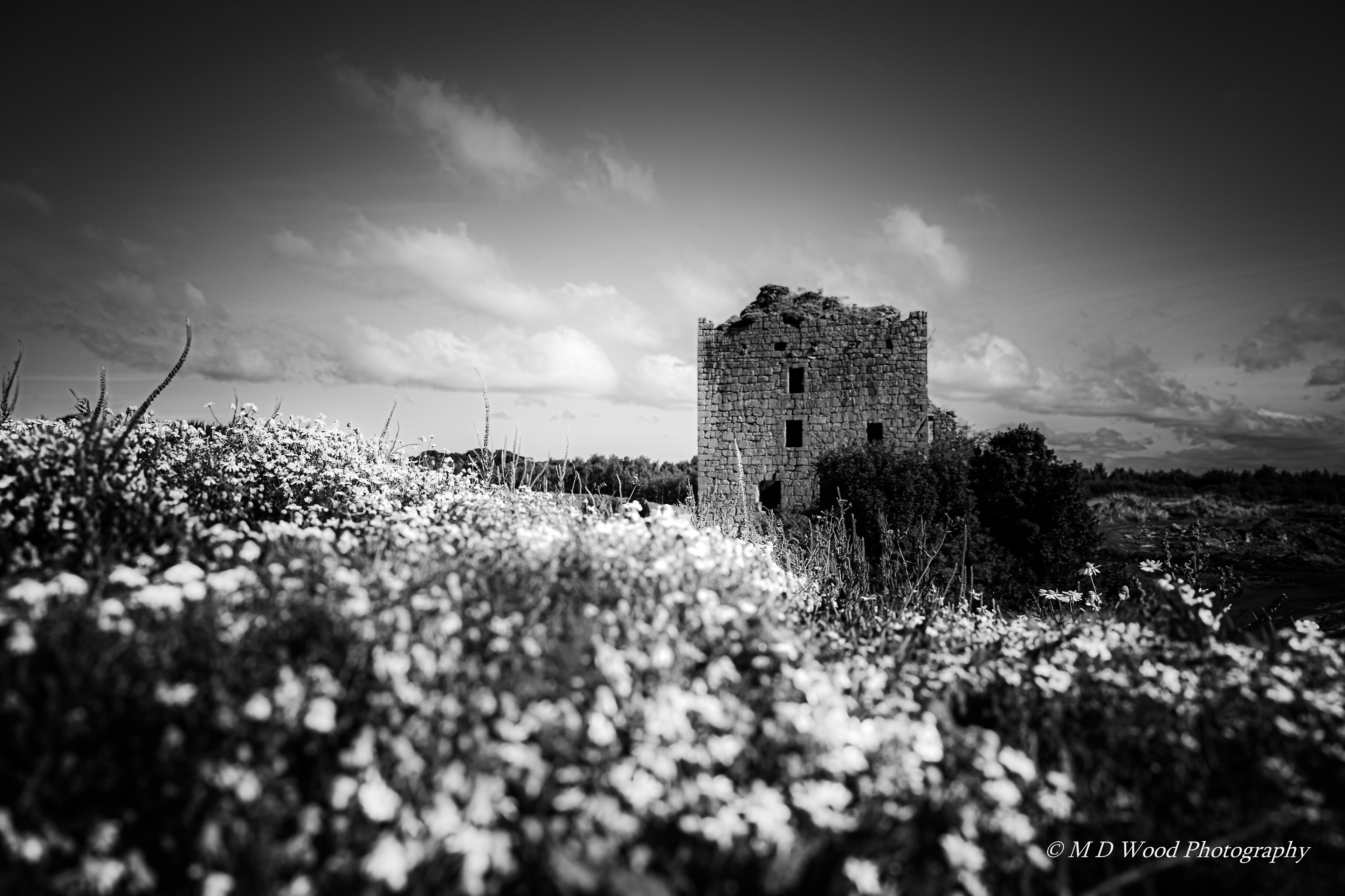Almond Castle