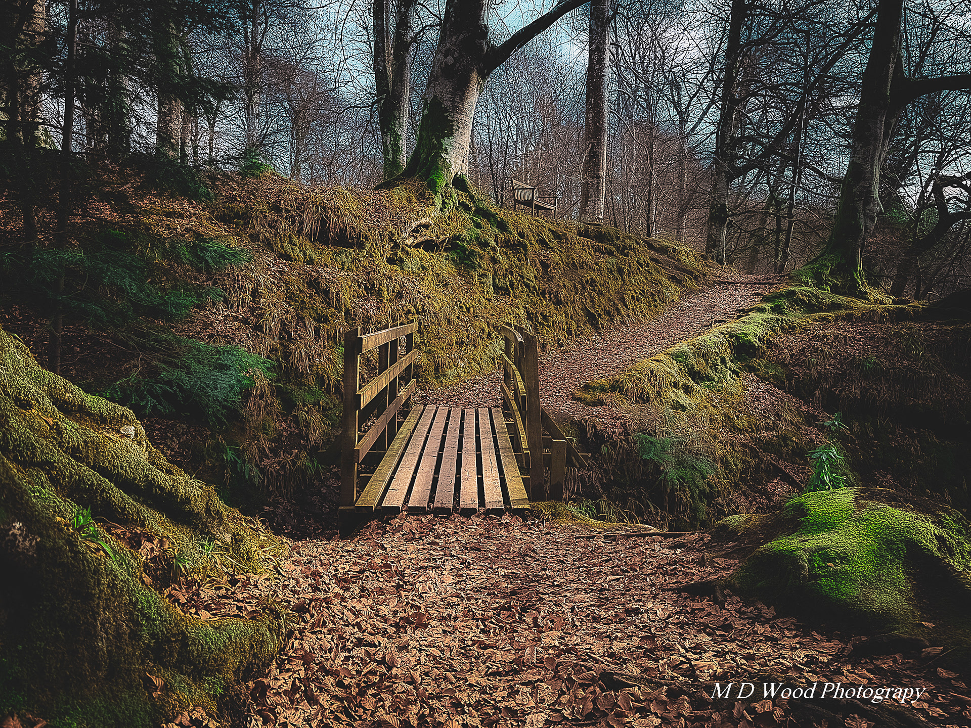 Path to happiness