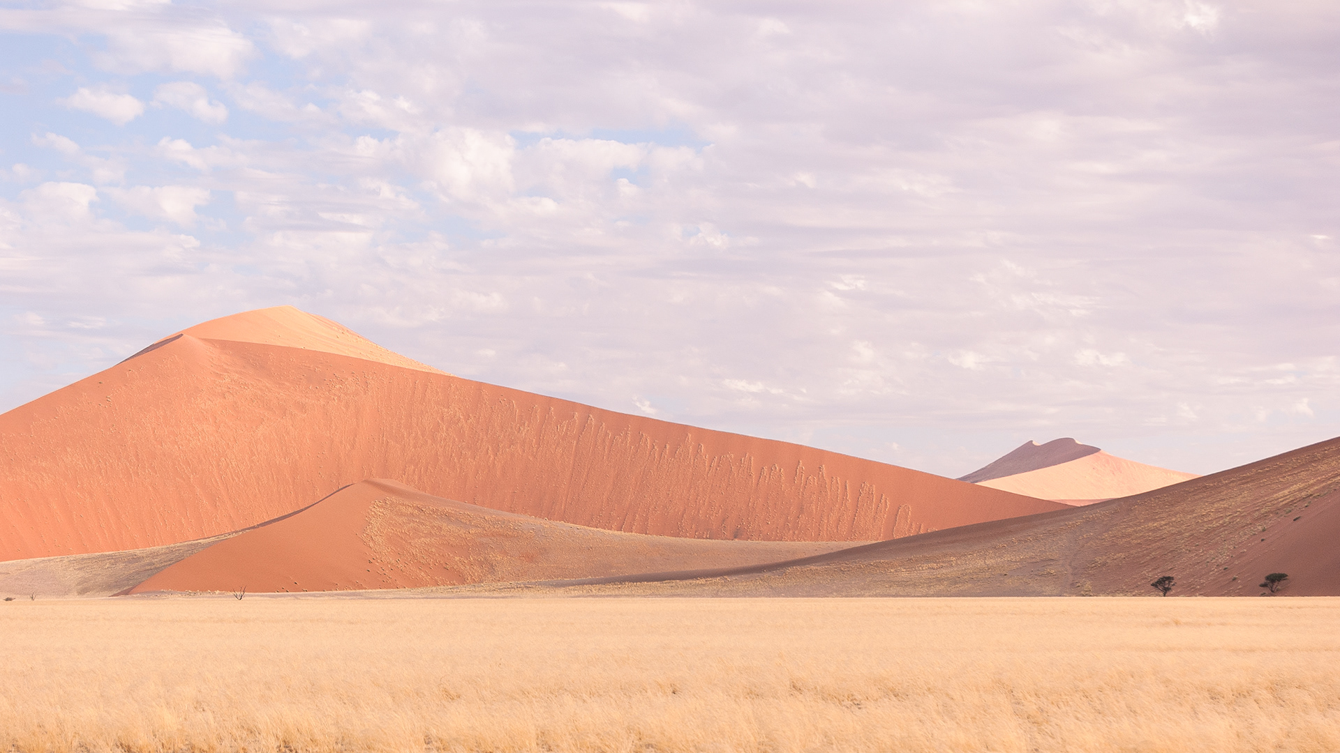 Sossusvlei, Namibia 2006