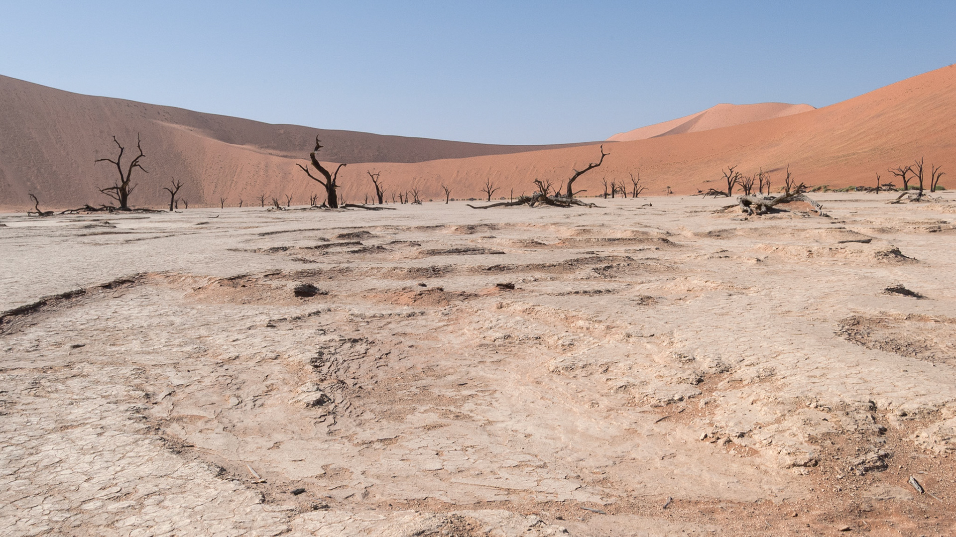 Dead Vlei, Namibia 2006