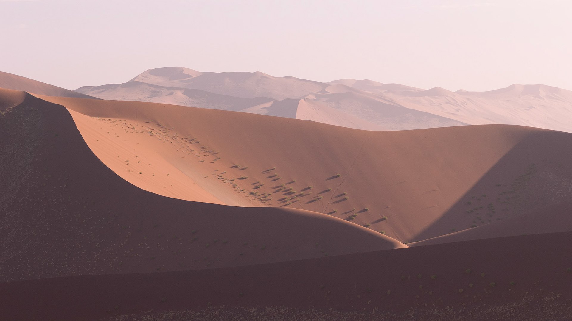 Sossusvlei, Namibia 2006