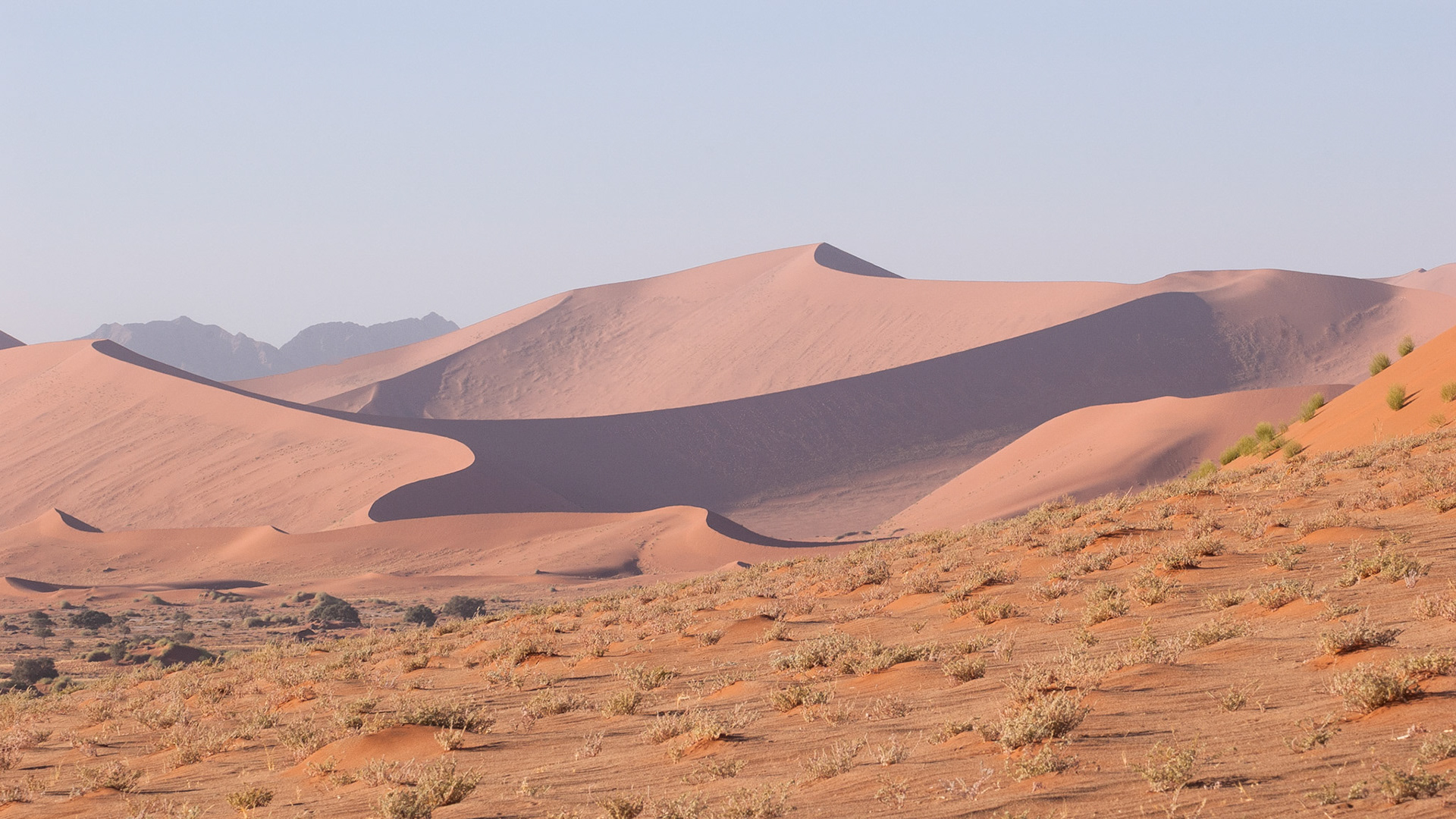 Sossusvlei, Nambia 2006
