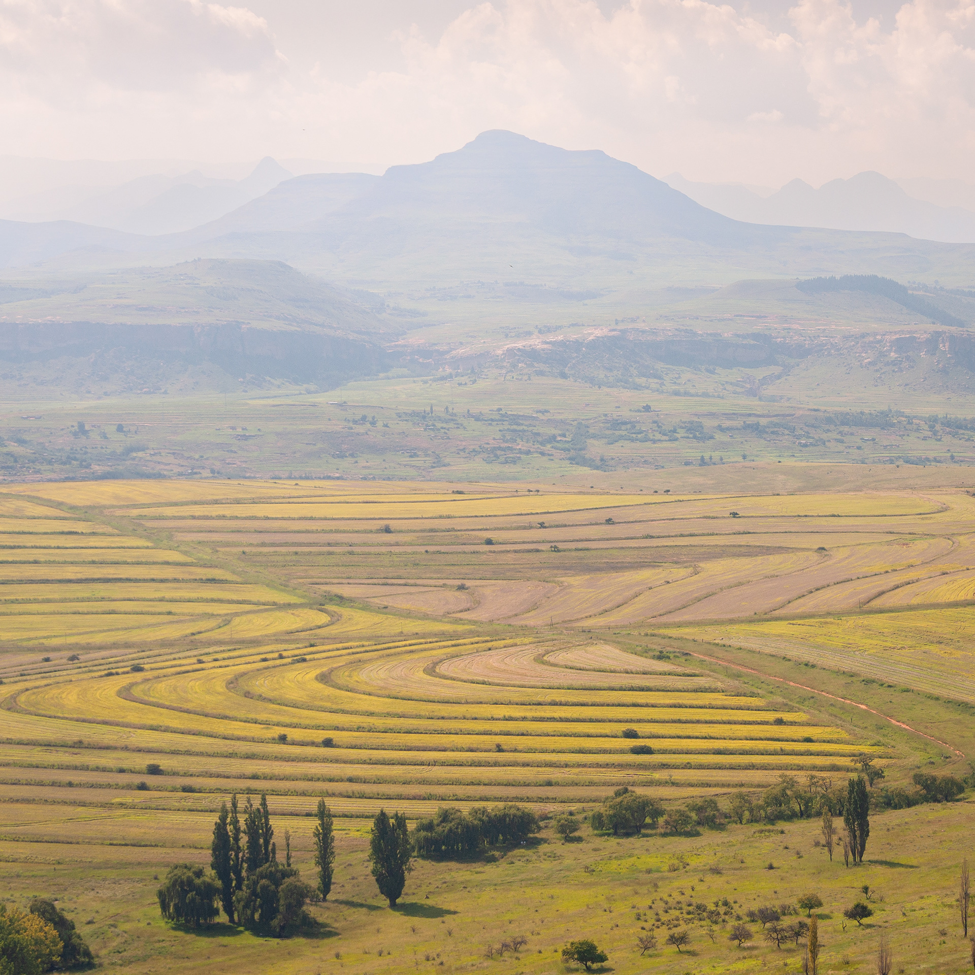 Farmlands, South Africa 2011