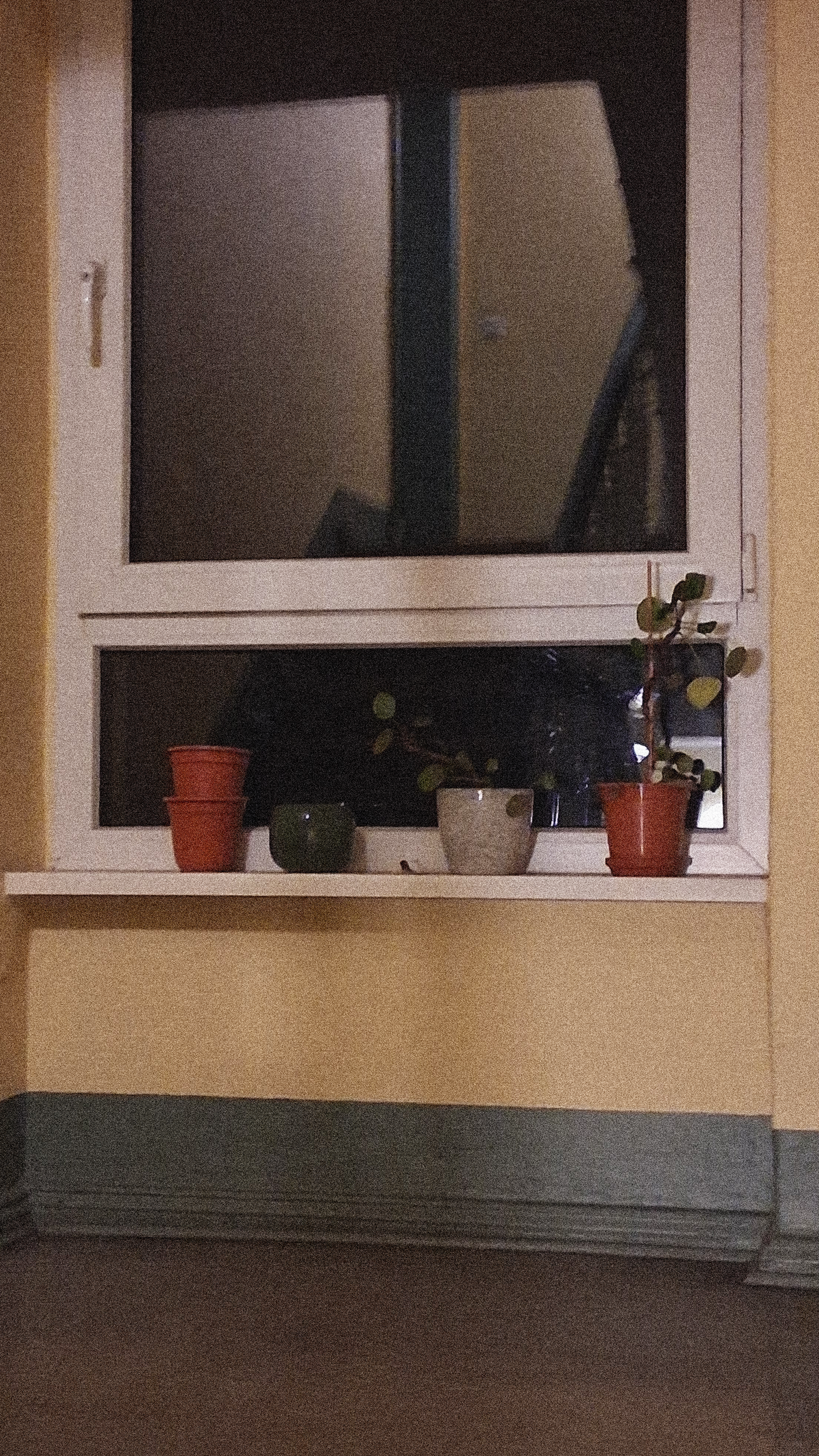 Decorated Windows Sills Along Staircases - Berlin