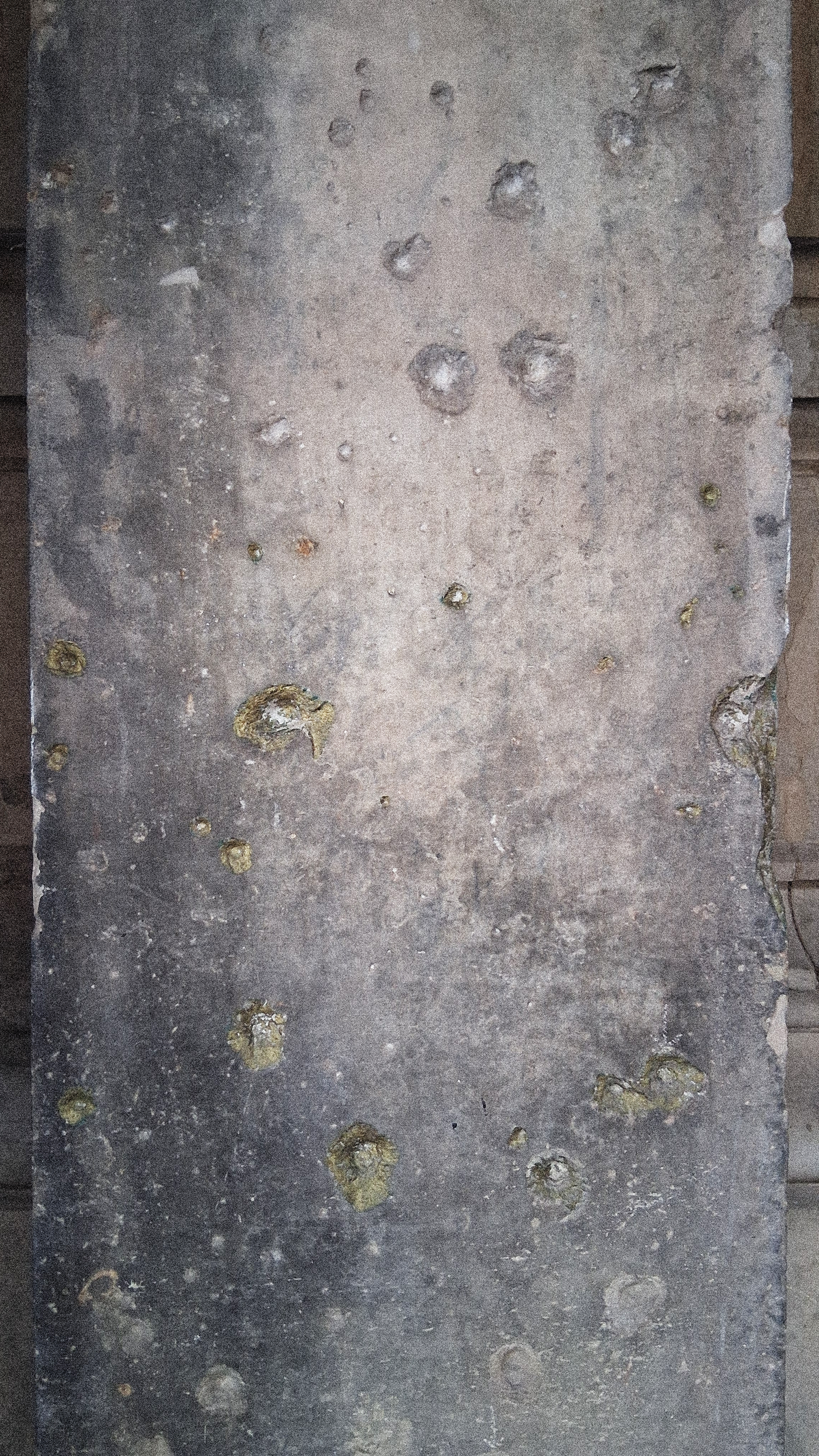 Bullet Marks  - Berlin