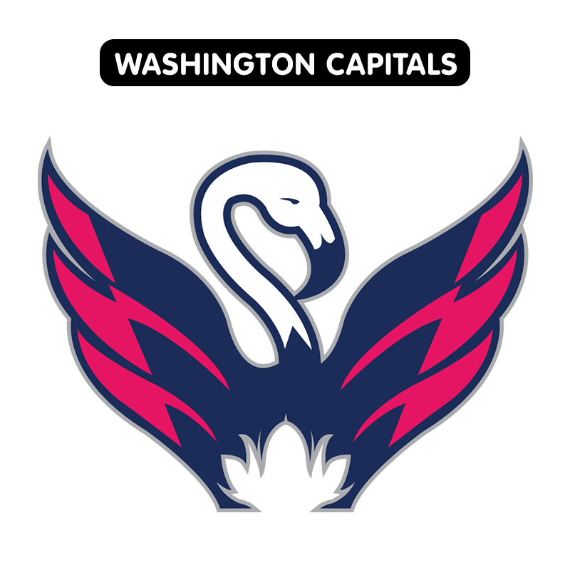 nhl logos redesigned