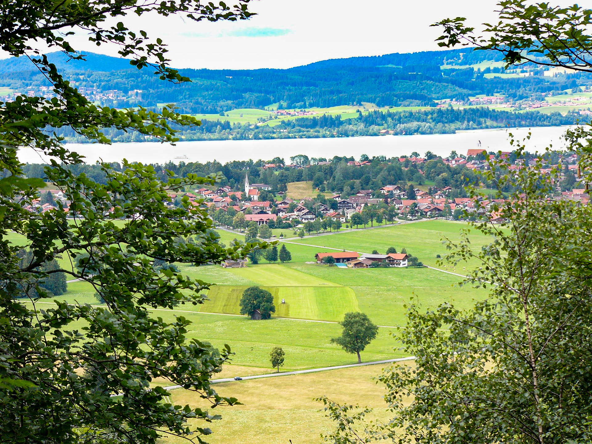Valley view from Neuschwanstein
