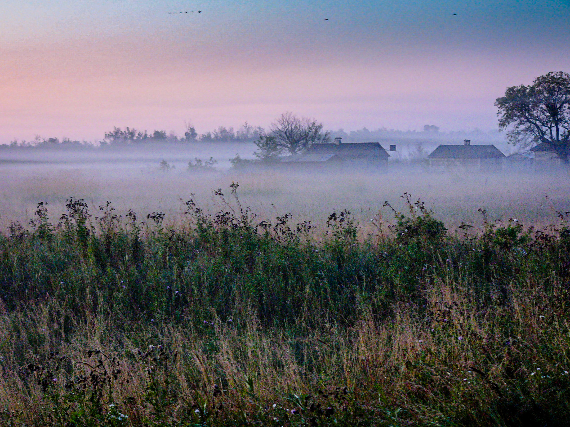 Fog at Sunrise Winnipeg