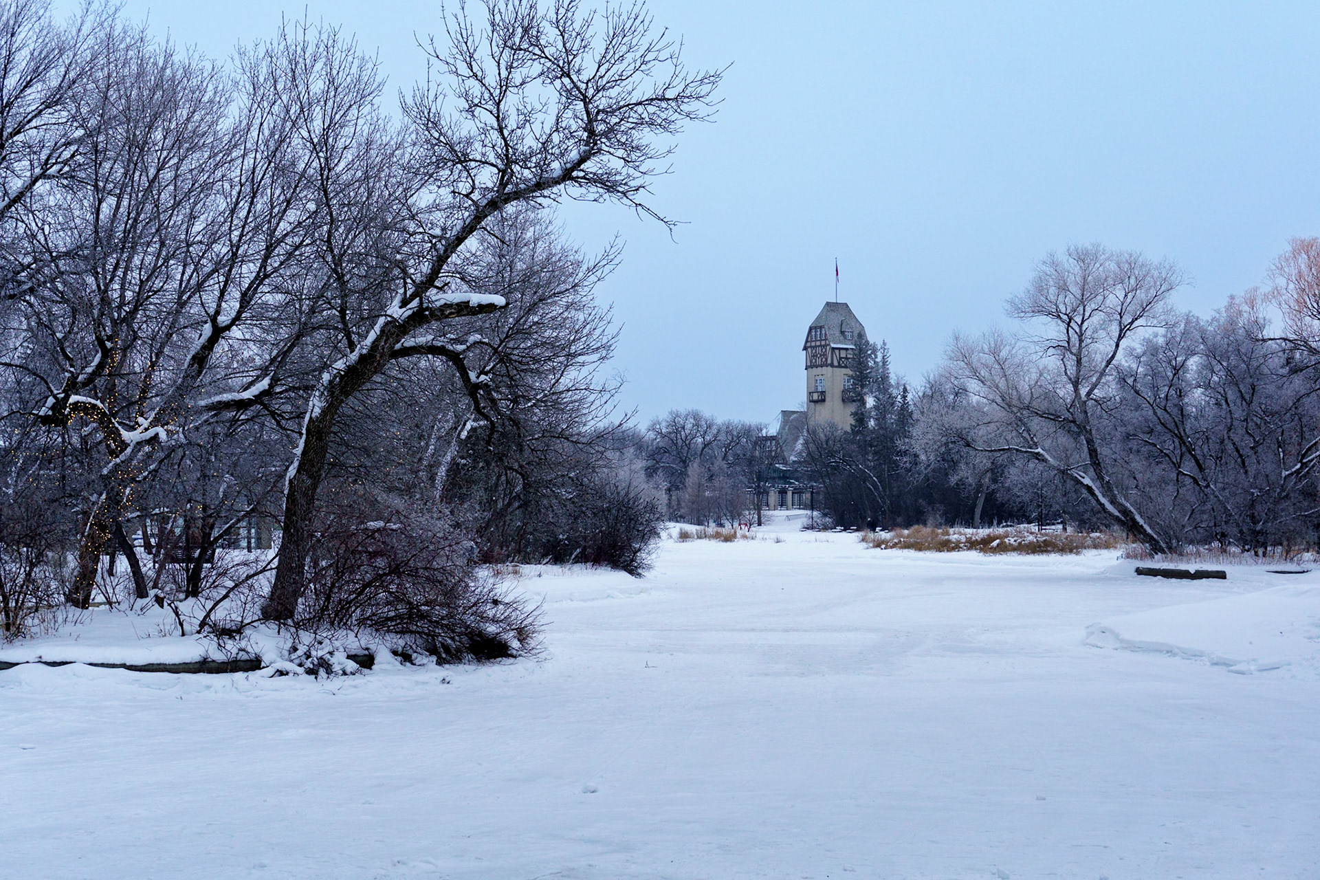 Duck pond at Assiniboine Park