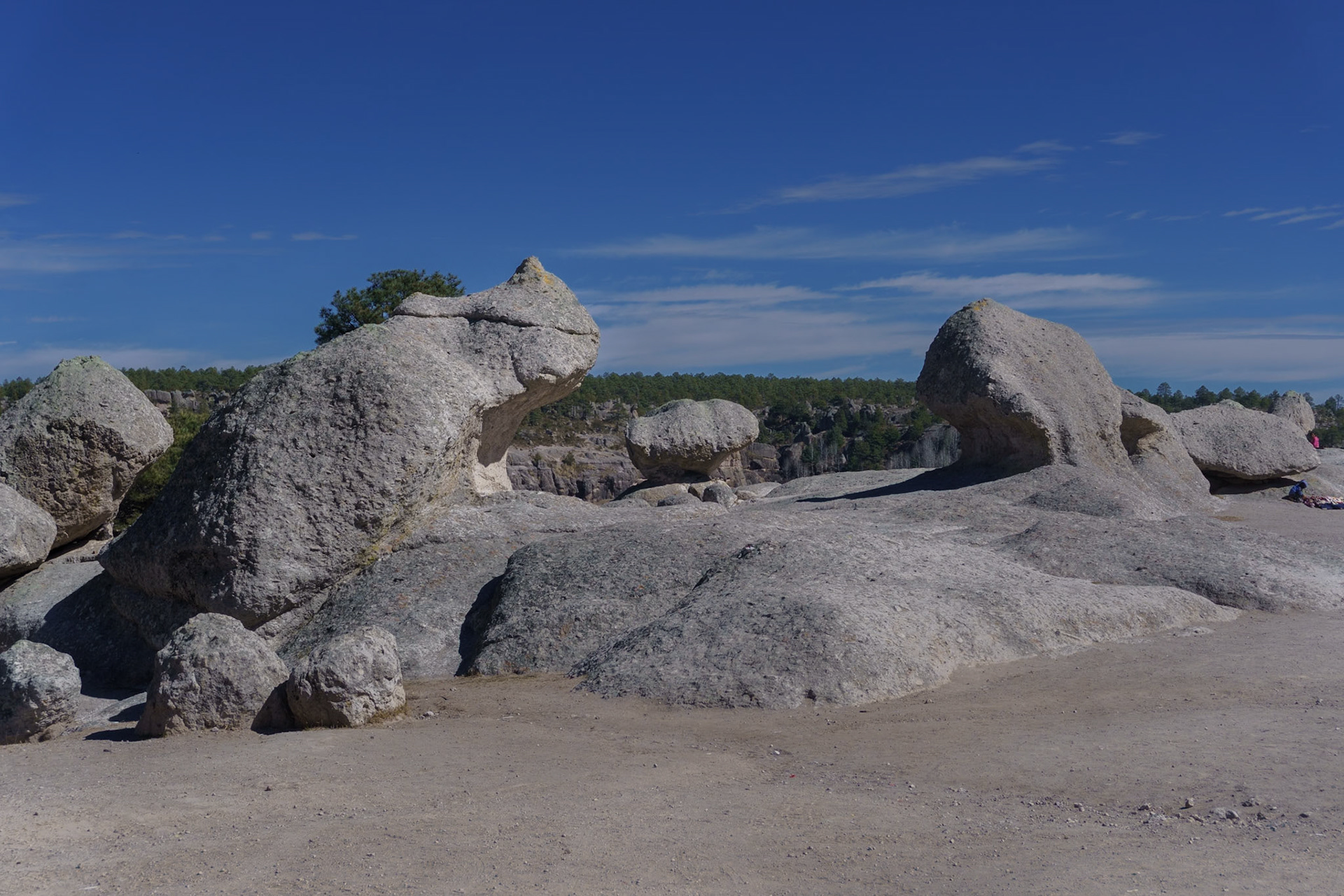 Valley of the Frogs near Creel