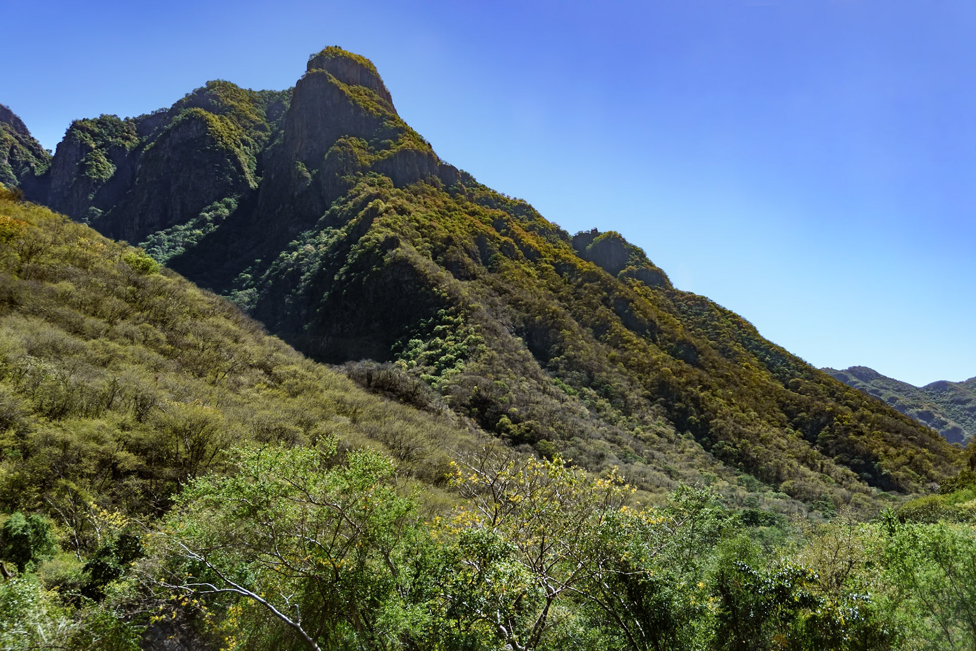 Canyon on way to El Fuerte