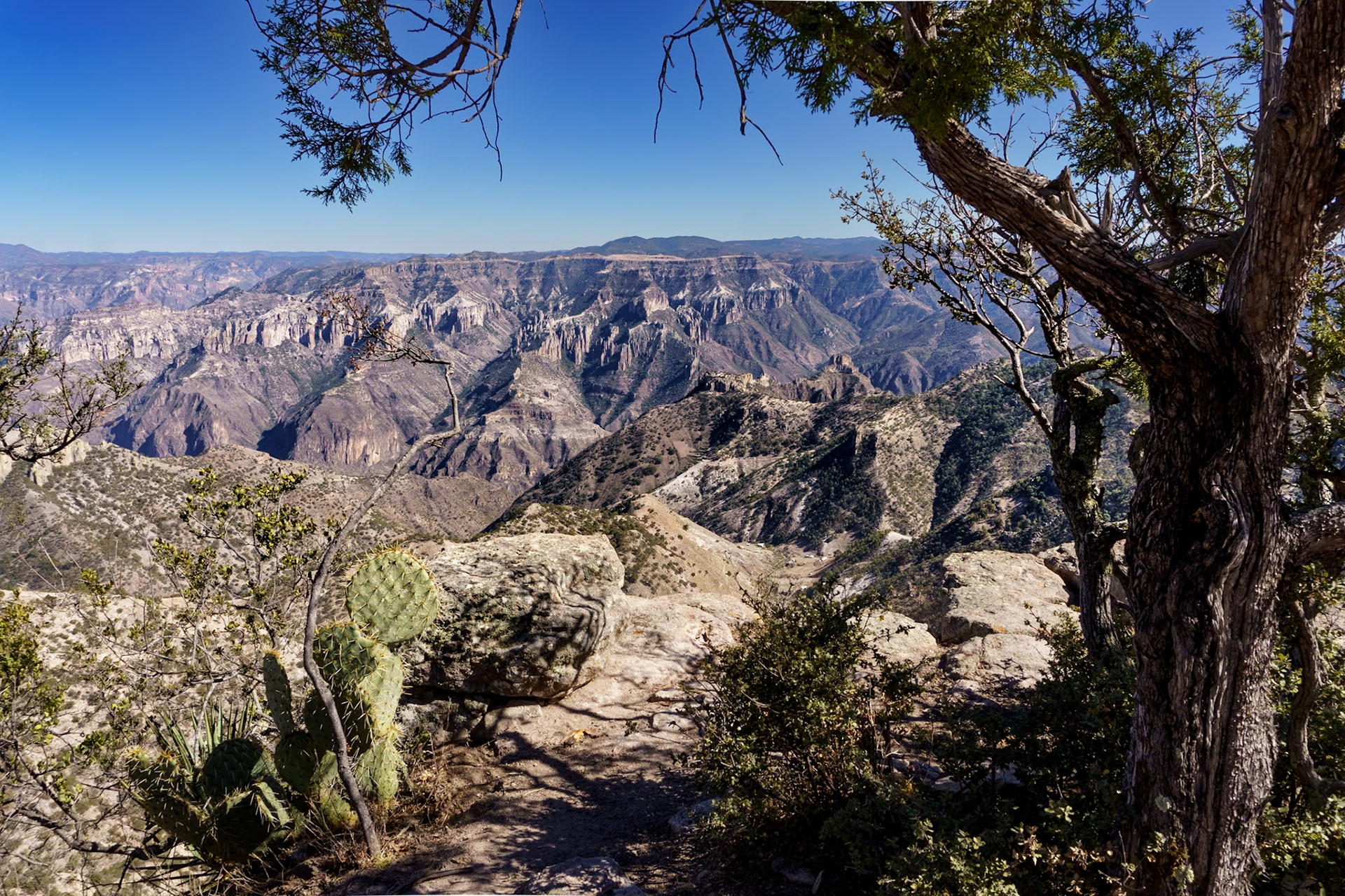 Canyon from Mirador Hotel area