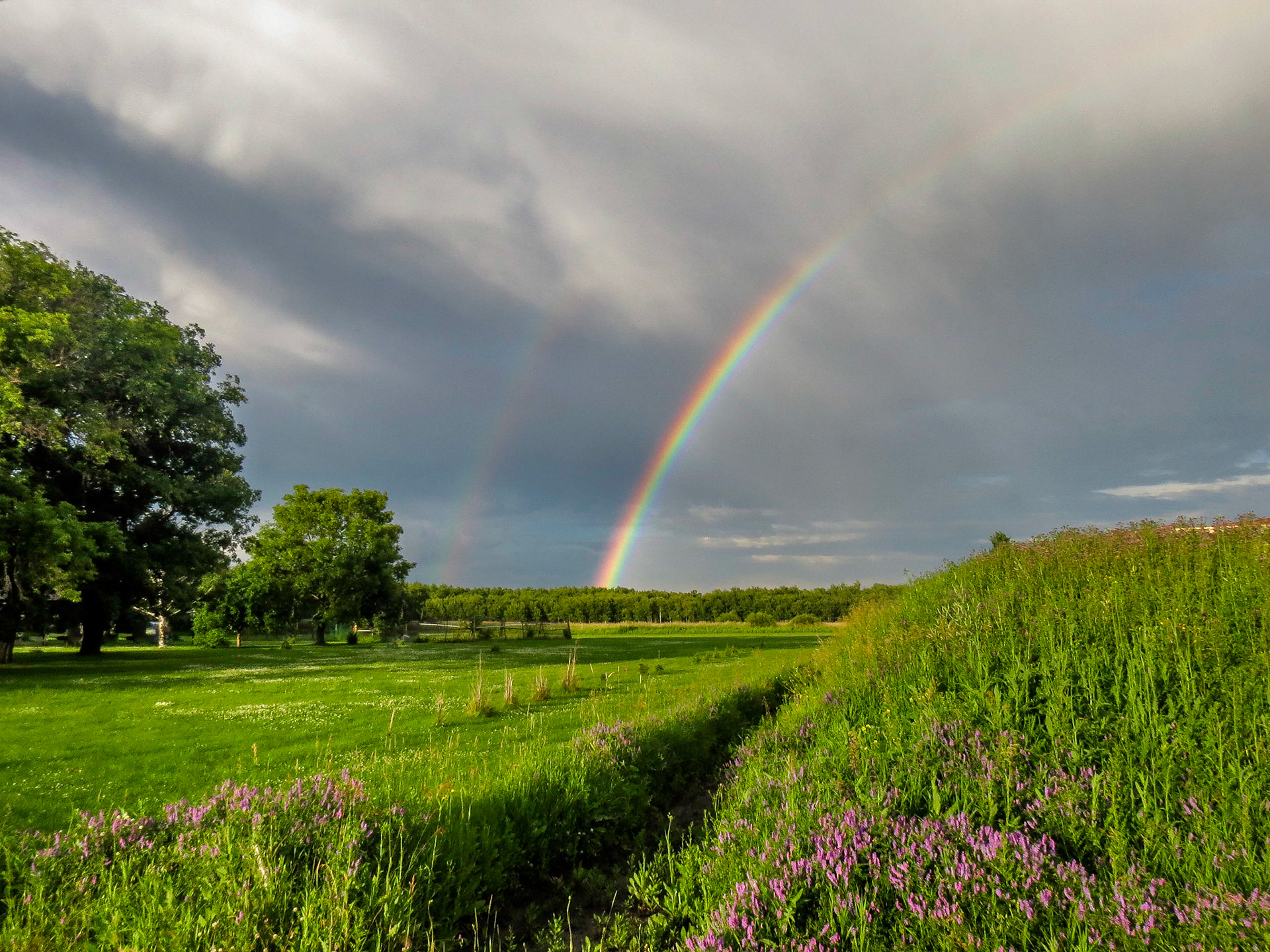 Rainbow Winnipeg