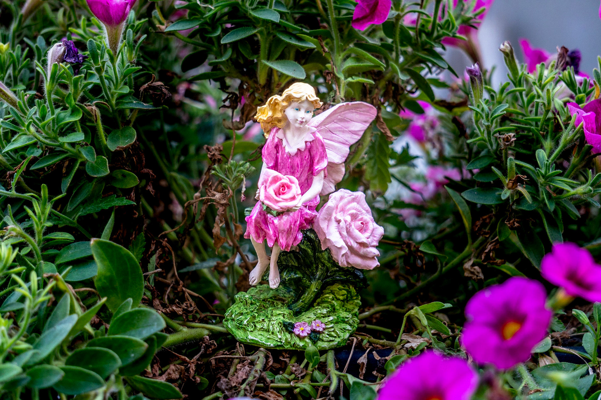 Whimsy Garden in Pink
