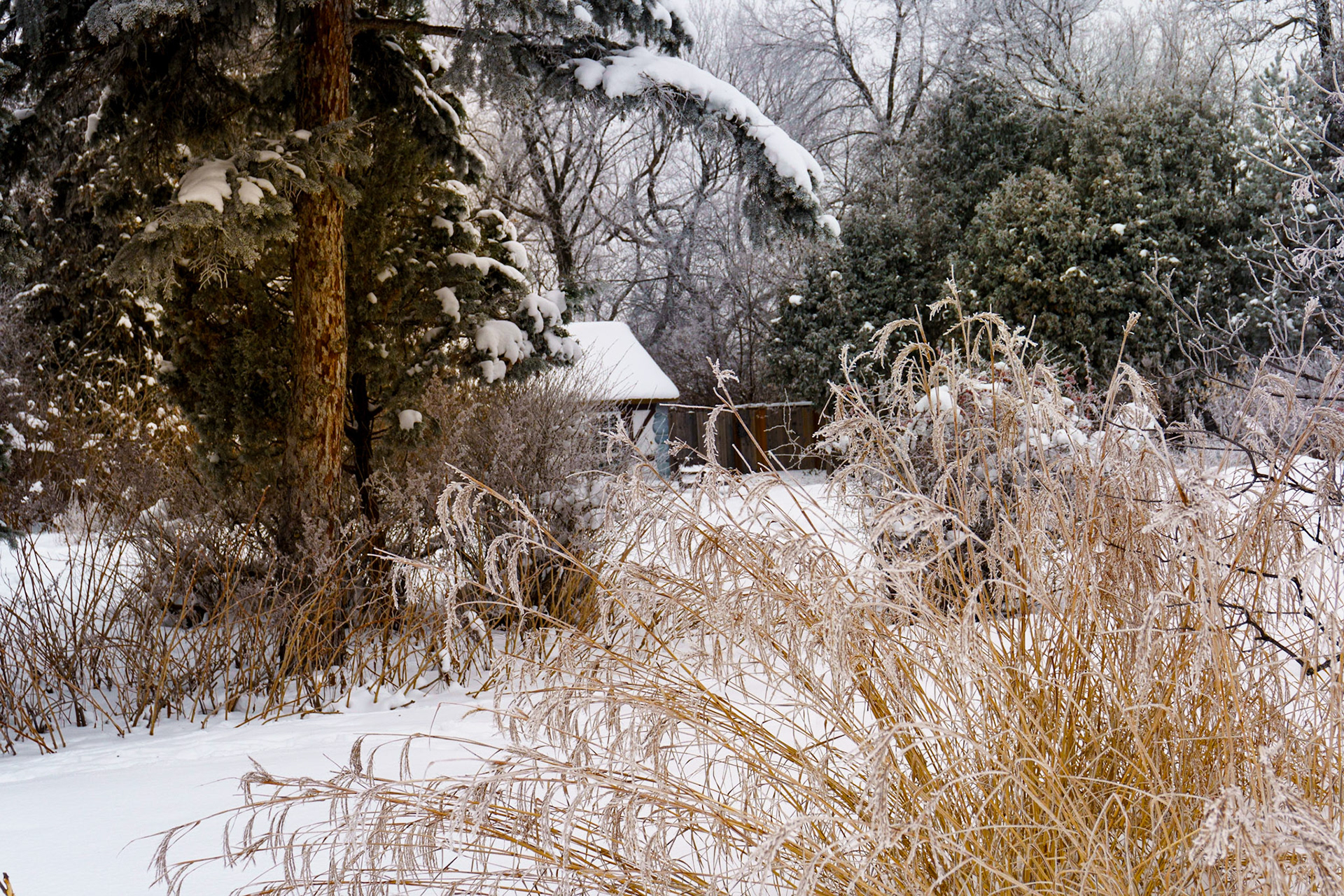 Frosty Manitoba morning