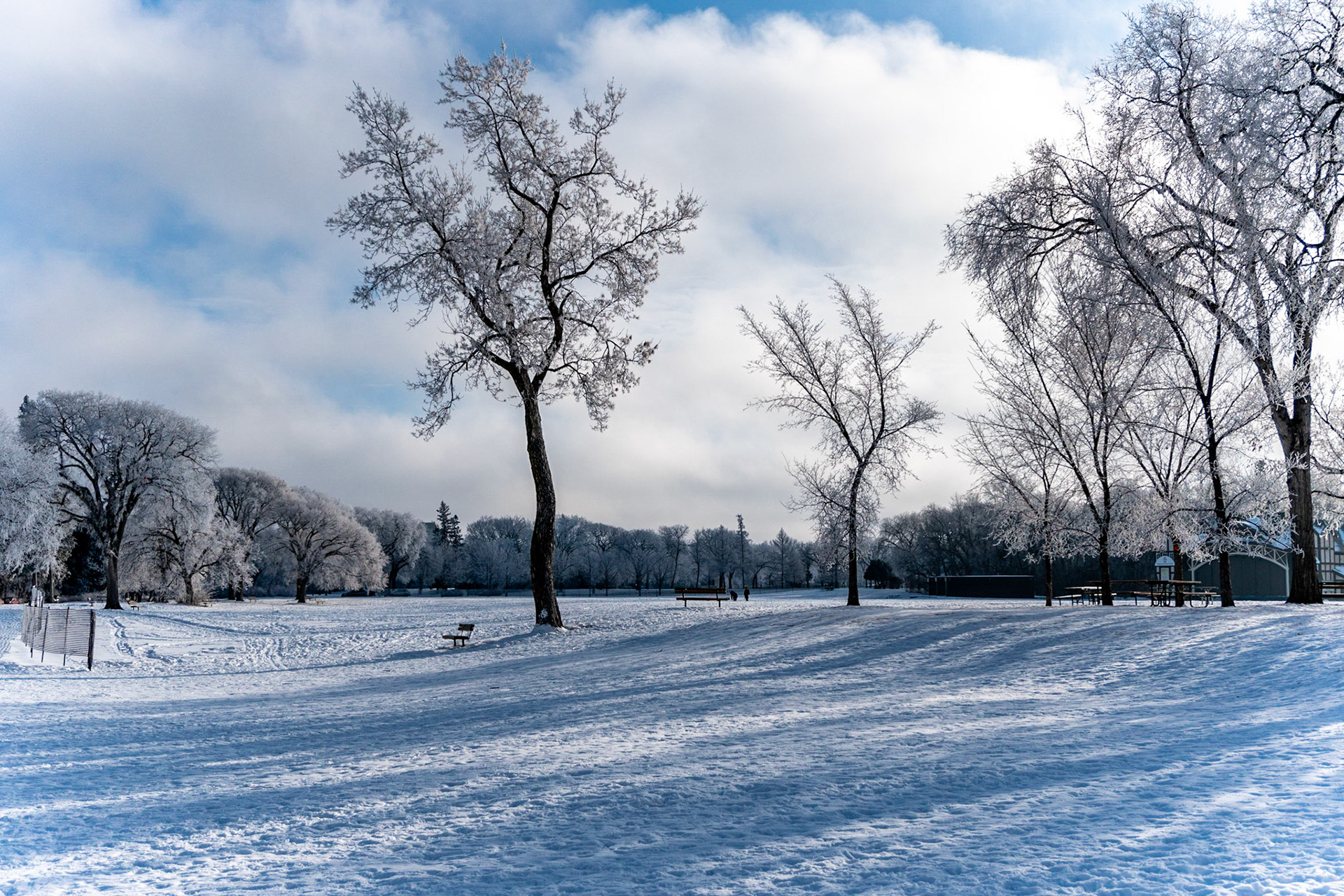 Hoarfrost Assininoine Park
