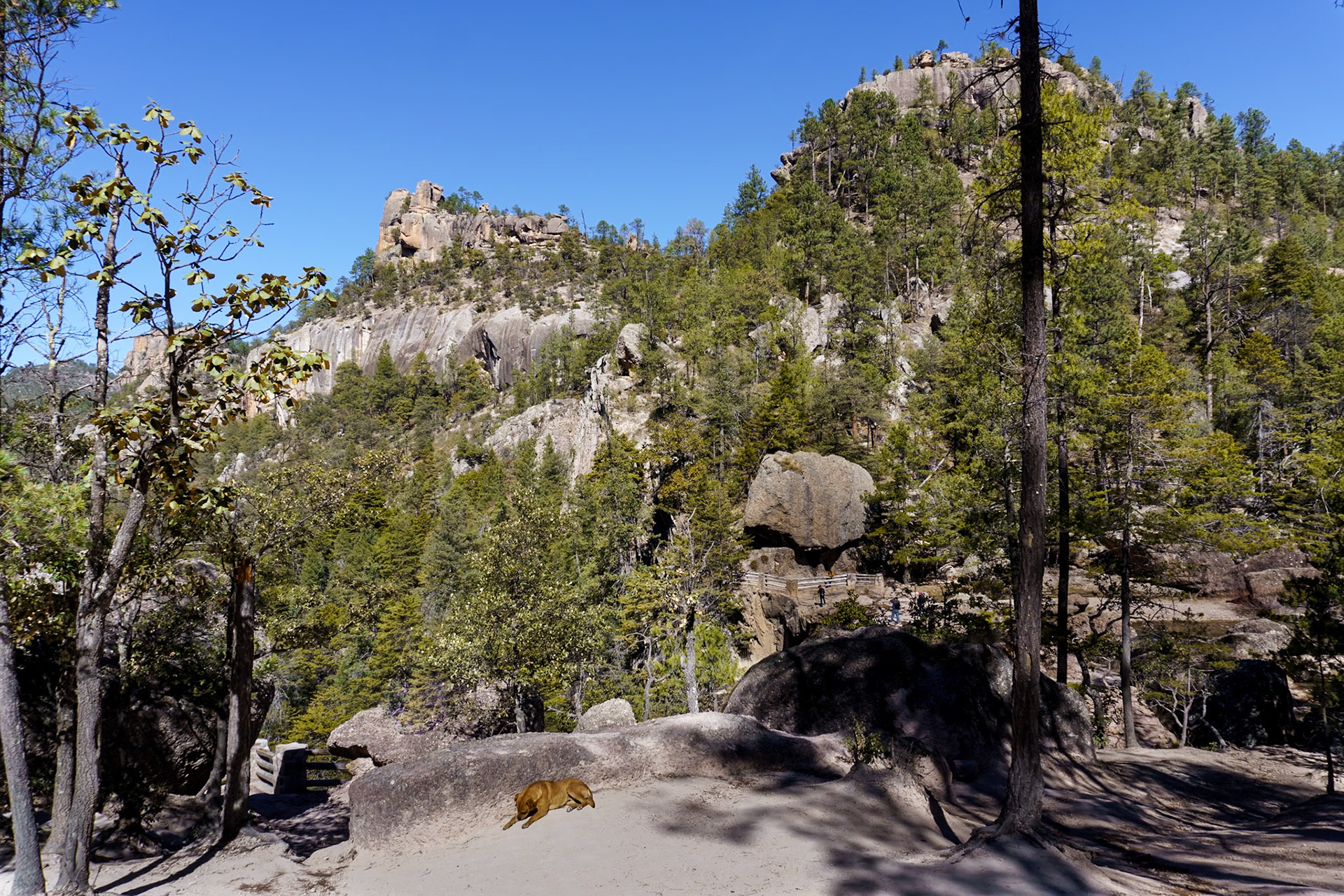 Cusarare Falls near Creel