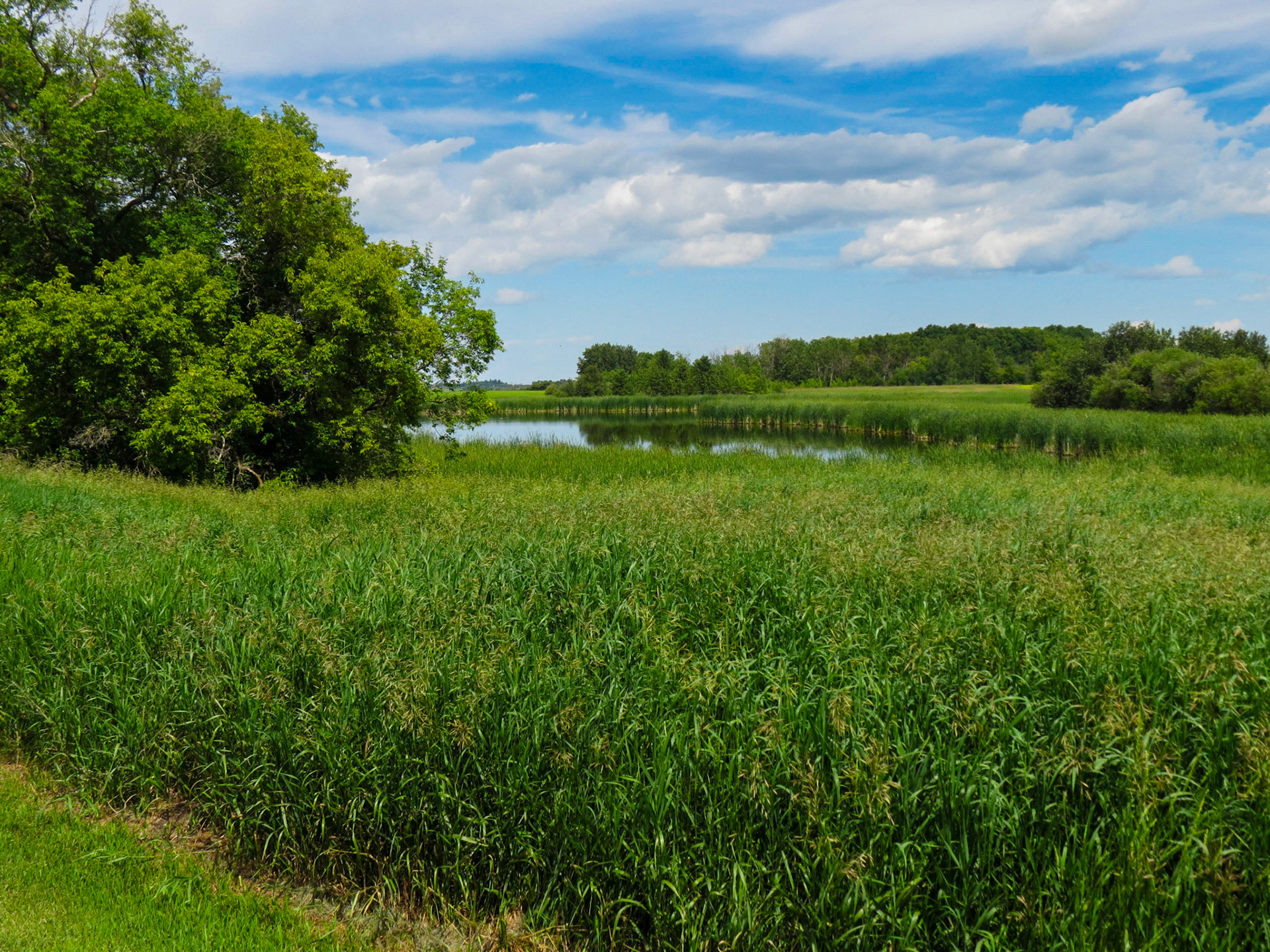The prairies near Minnedosa