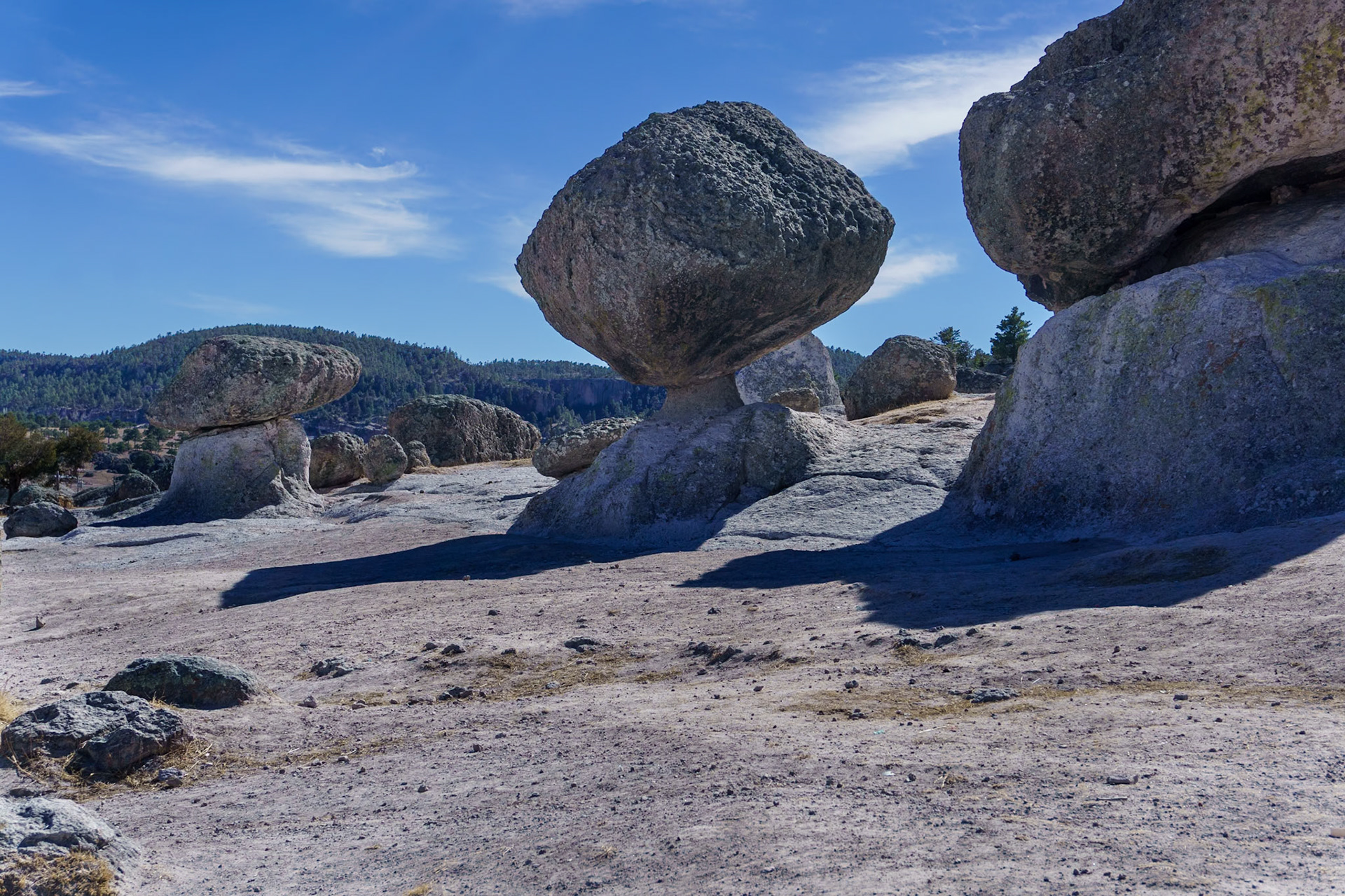Valley of Mushroons near Creel