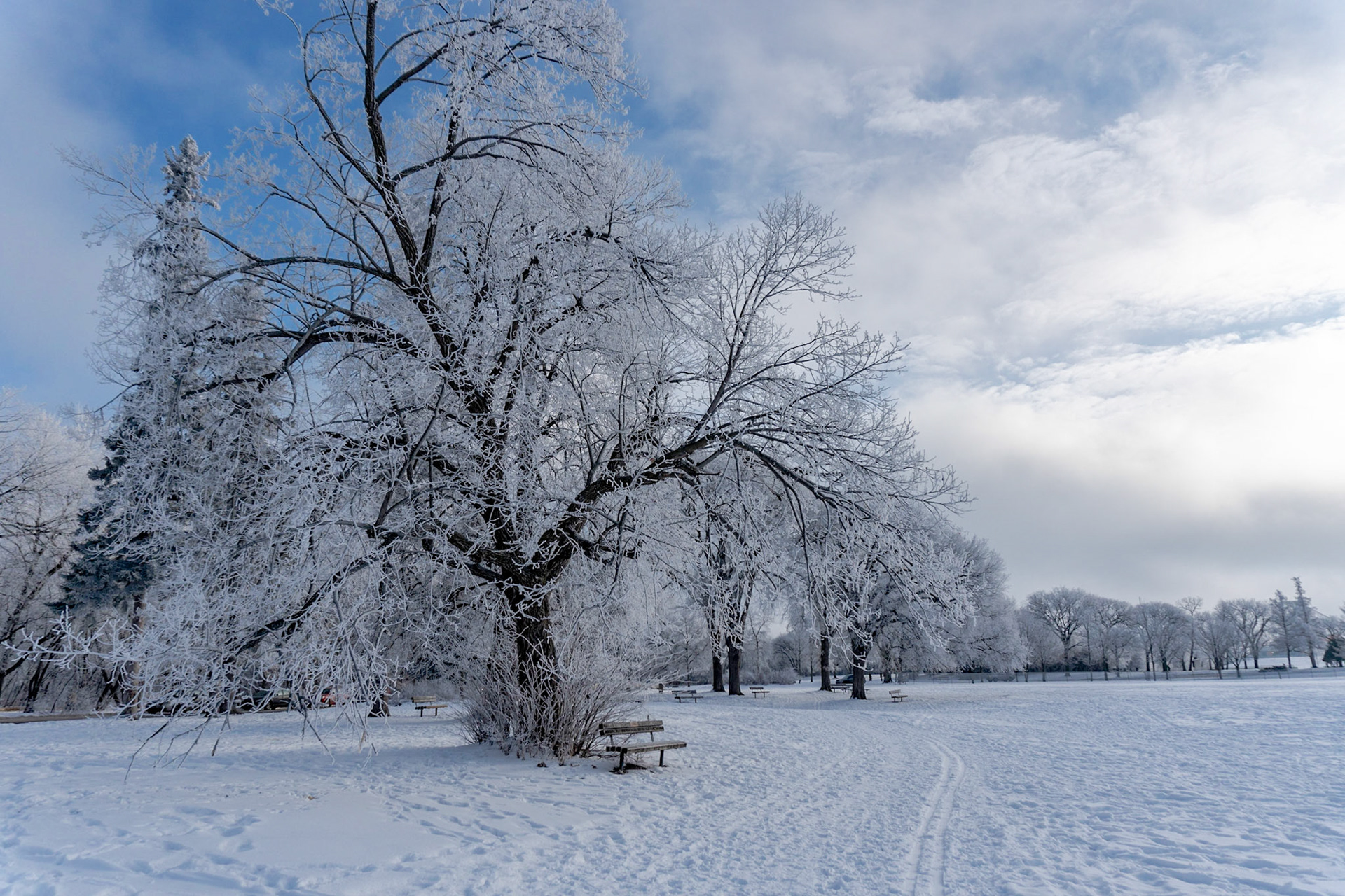 Hoarfrost Assininoine Park