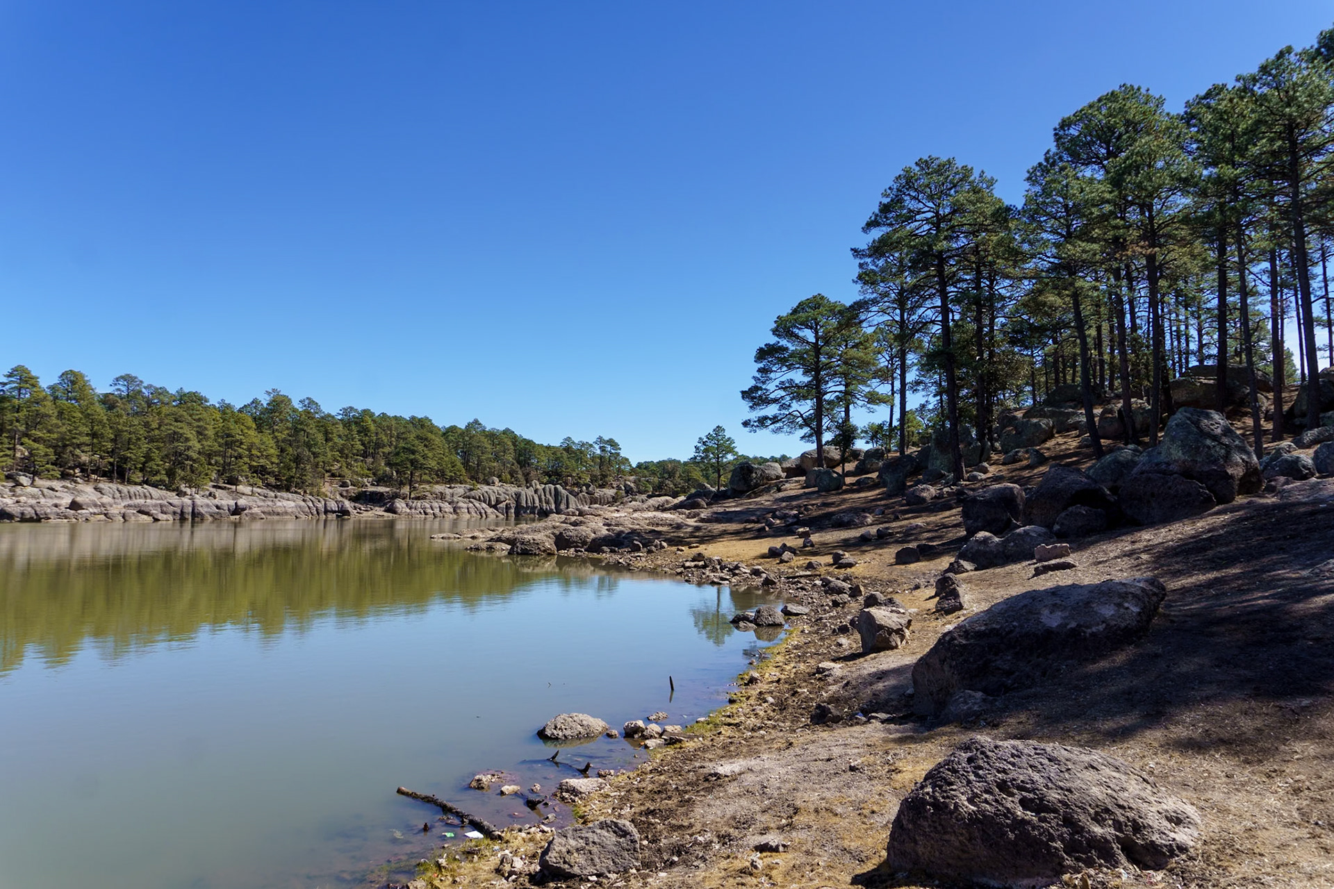 Lake Arareco near Creel
