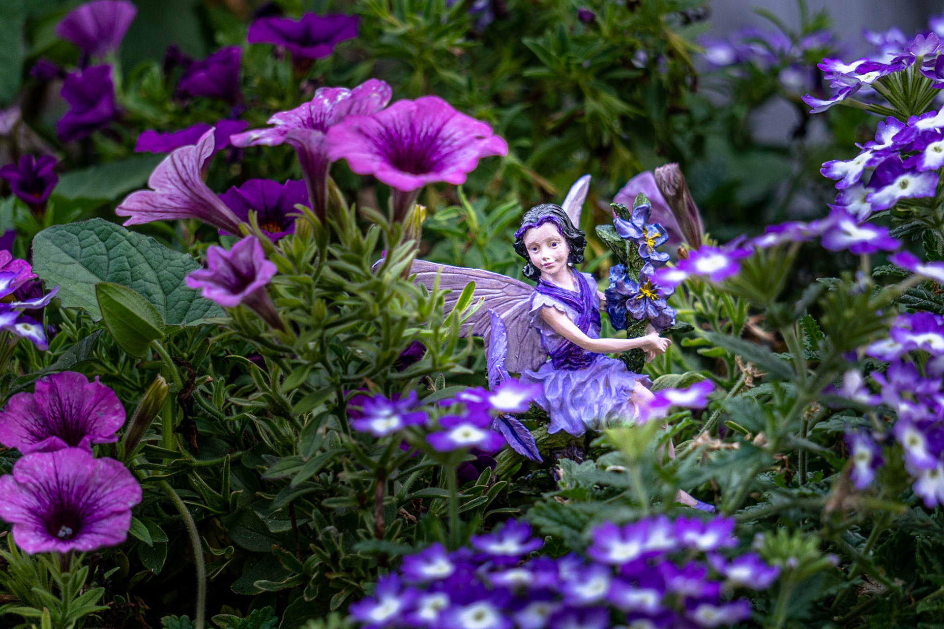 Whimsy Garden in Purple
