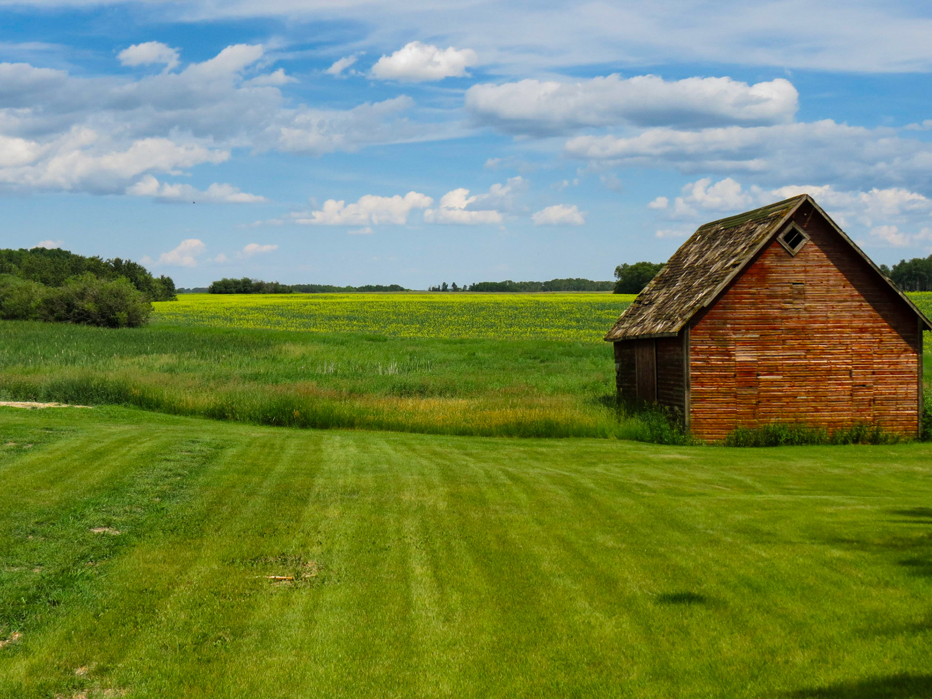 Old farmyard near Minnedosa