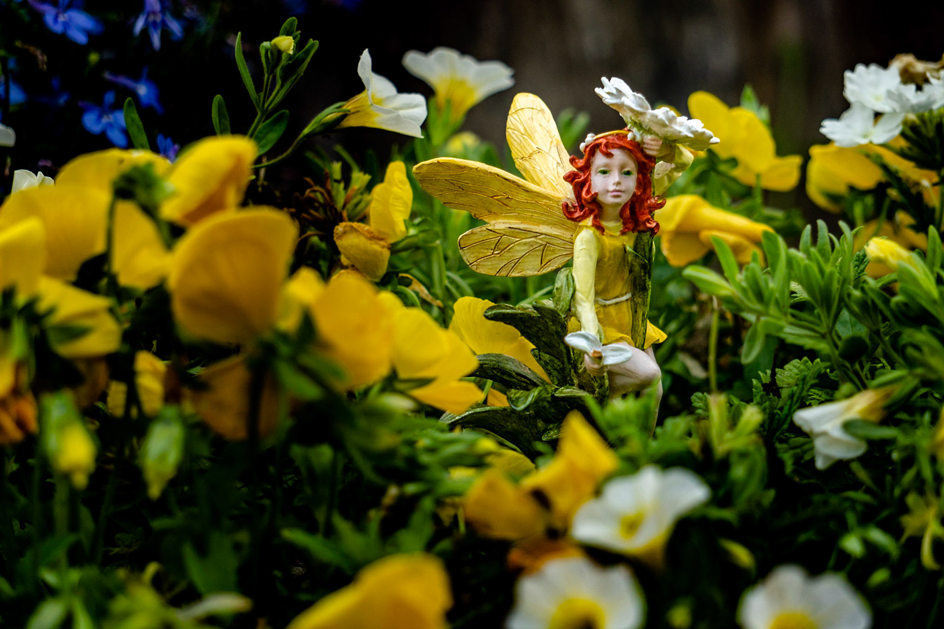 Whimsy Garden in Yellow