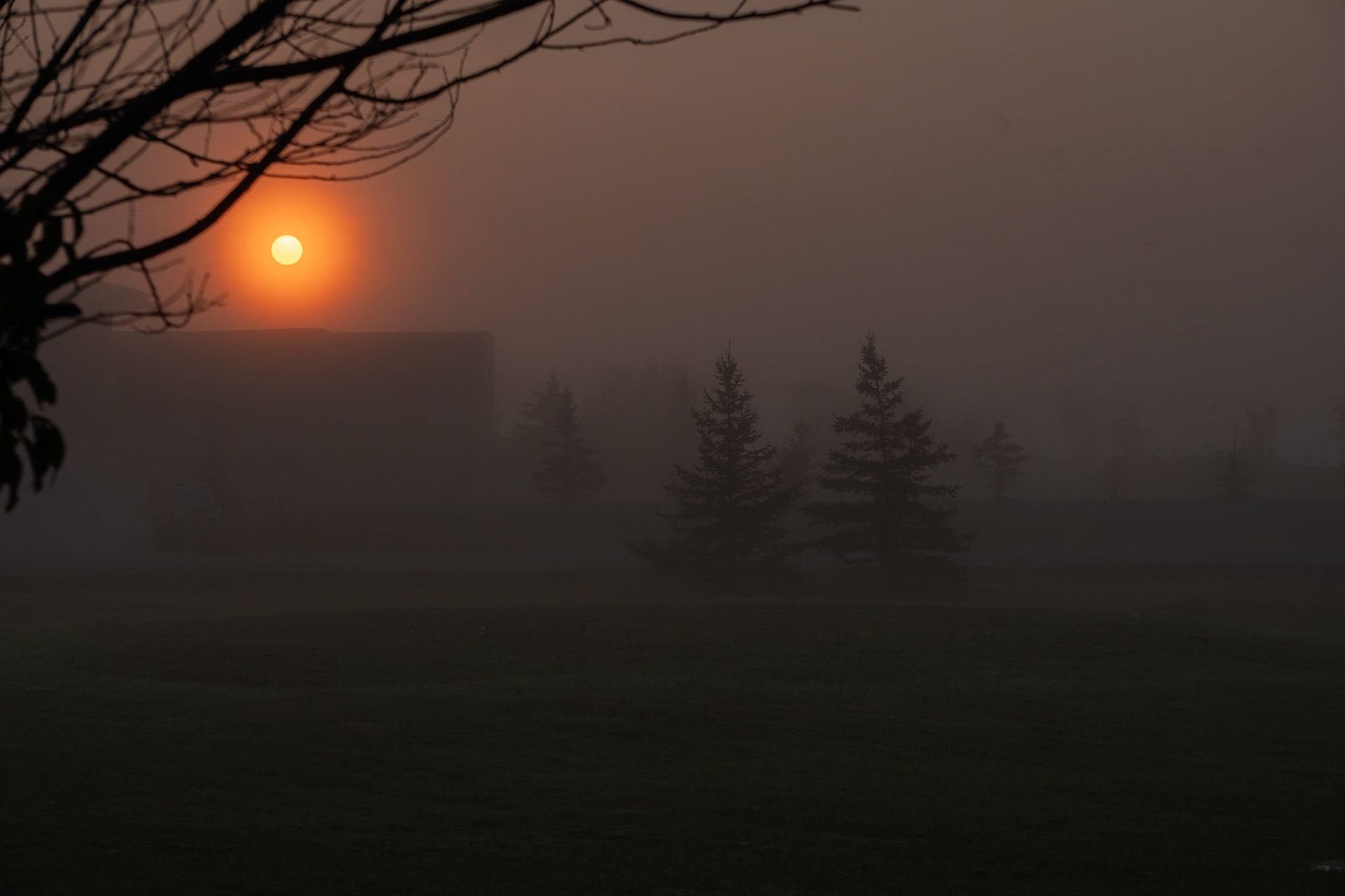 Foggy morning Winnipeg