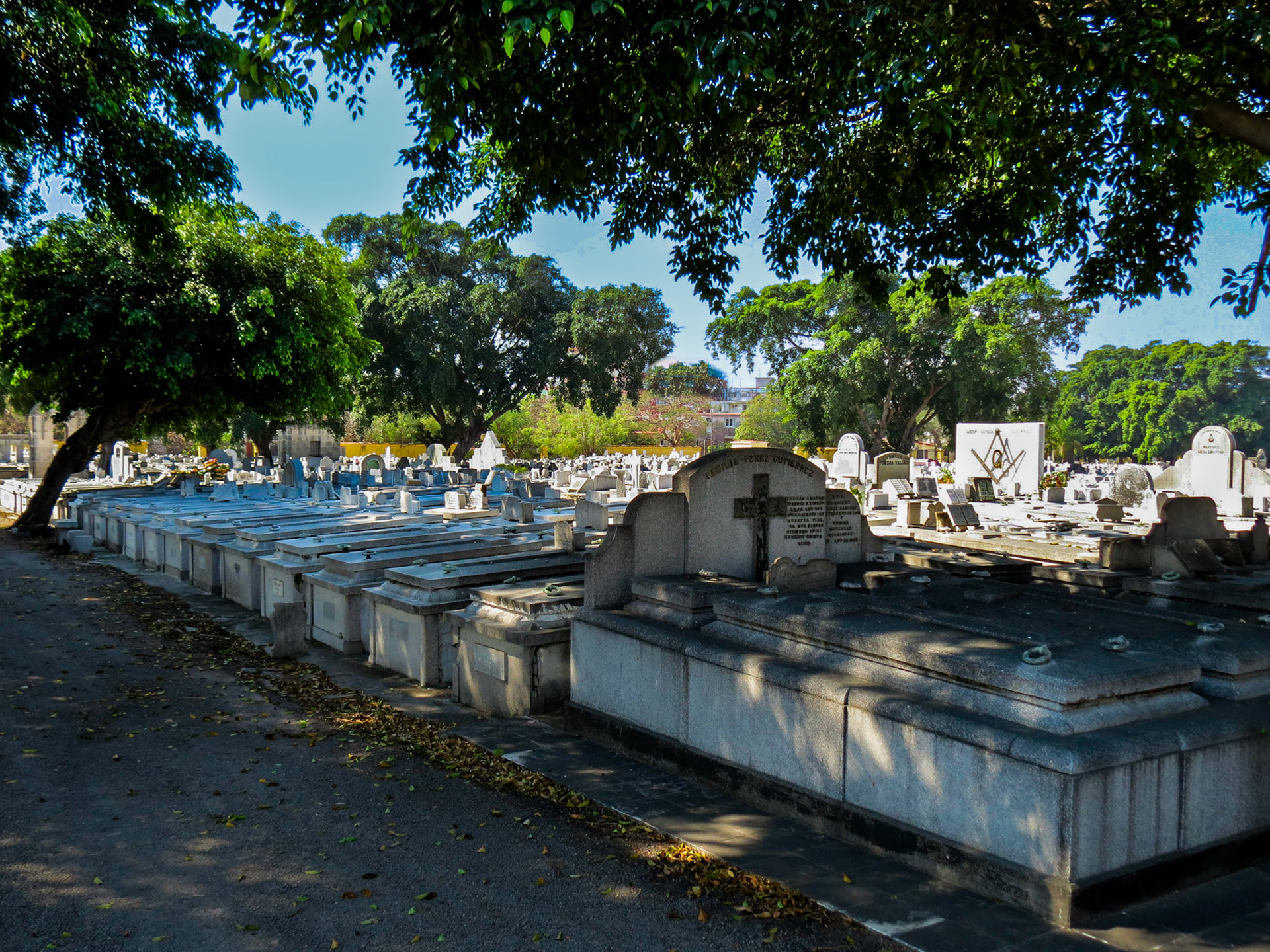 Colon Cemetary Havana