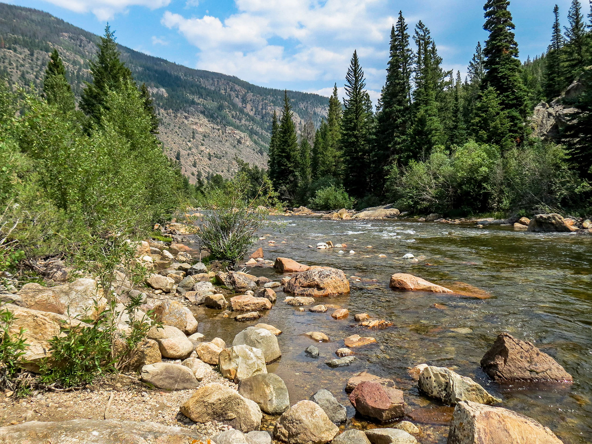 Small River in Wyoming