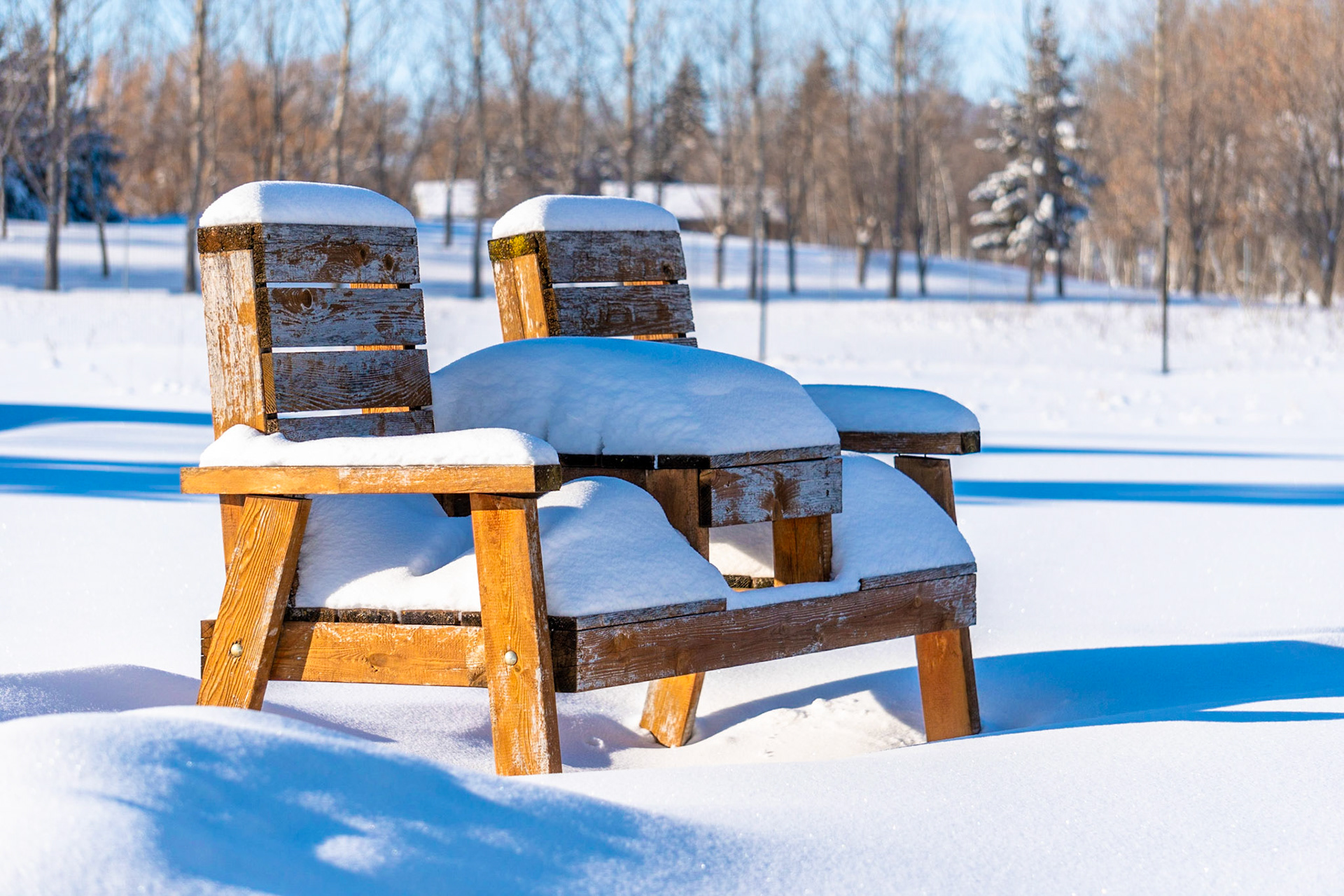 Bench in Winter