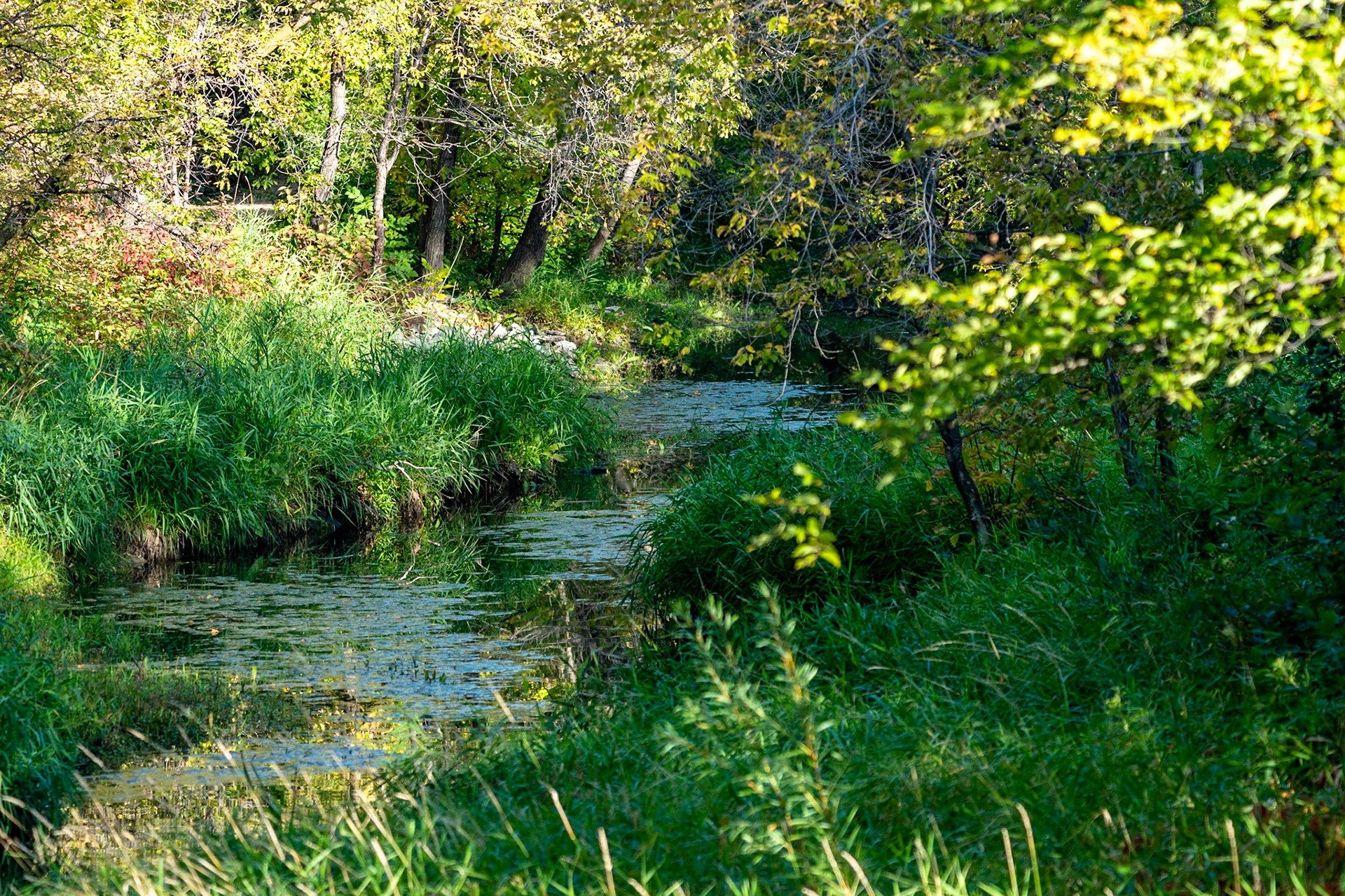 Bunn's Creek Winnipeg