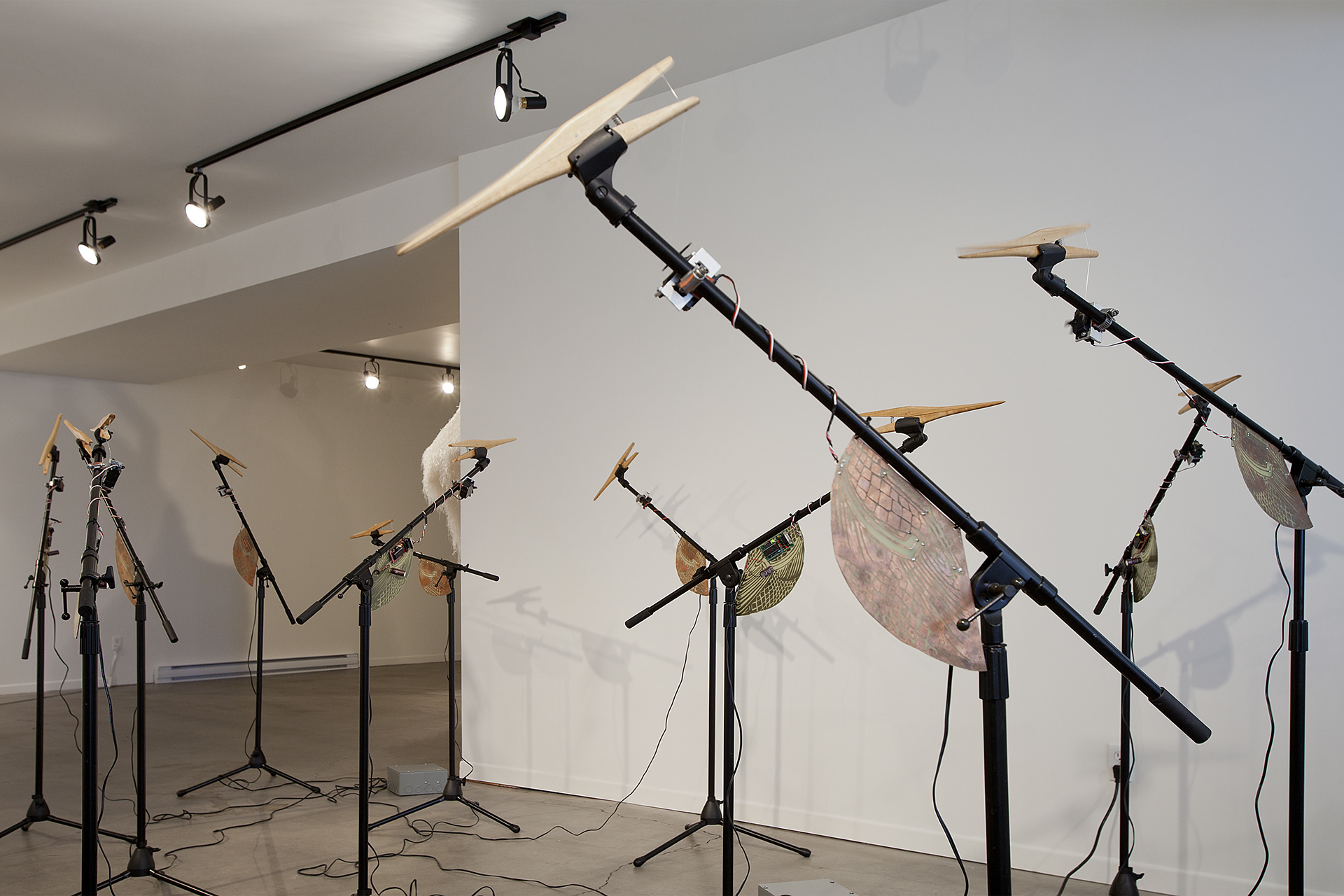Singing Condition I, 2010/11. Quebec Bienniale