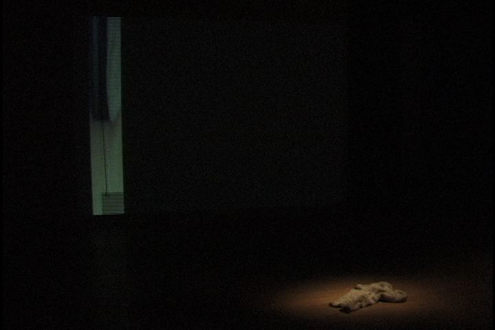 Beyond the Skin Effect. 2004. custom software, generative video, sound.