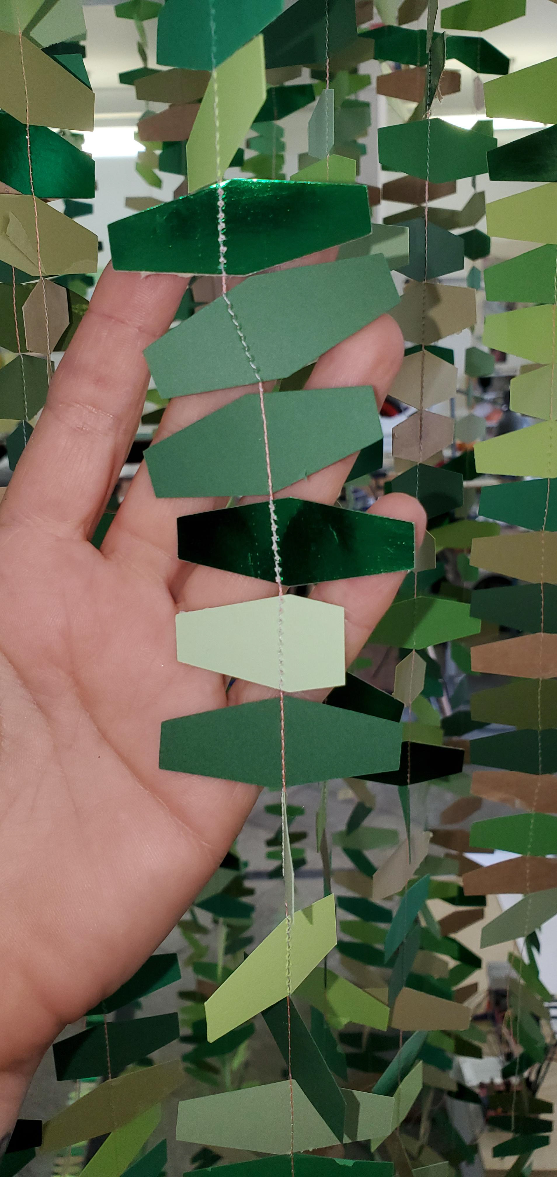paper xylem forest 2023