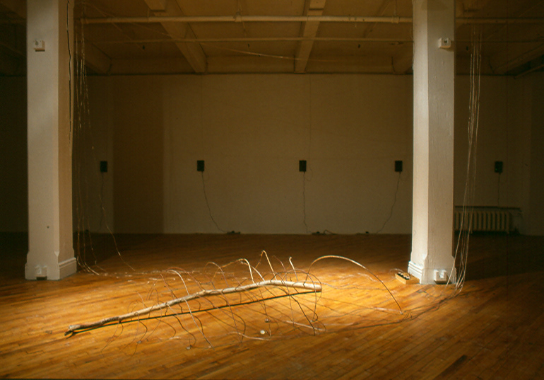 Scale 2002