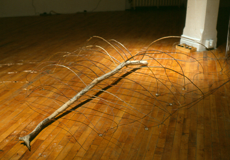 Scale 2002