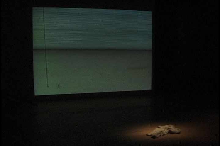 Beyond the Skin Effect. 2004. custom software, generative video, sound.