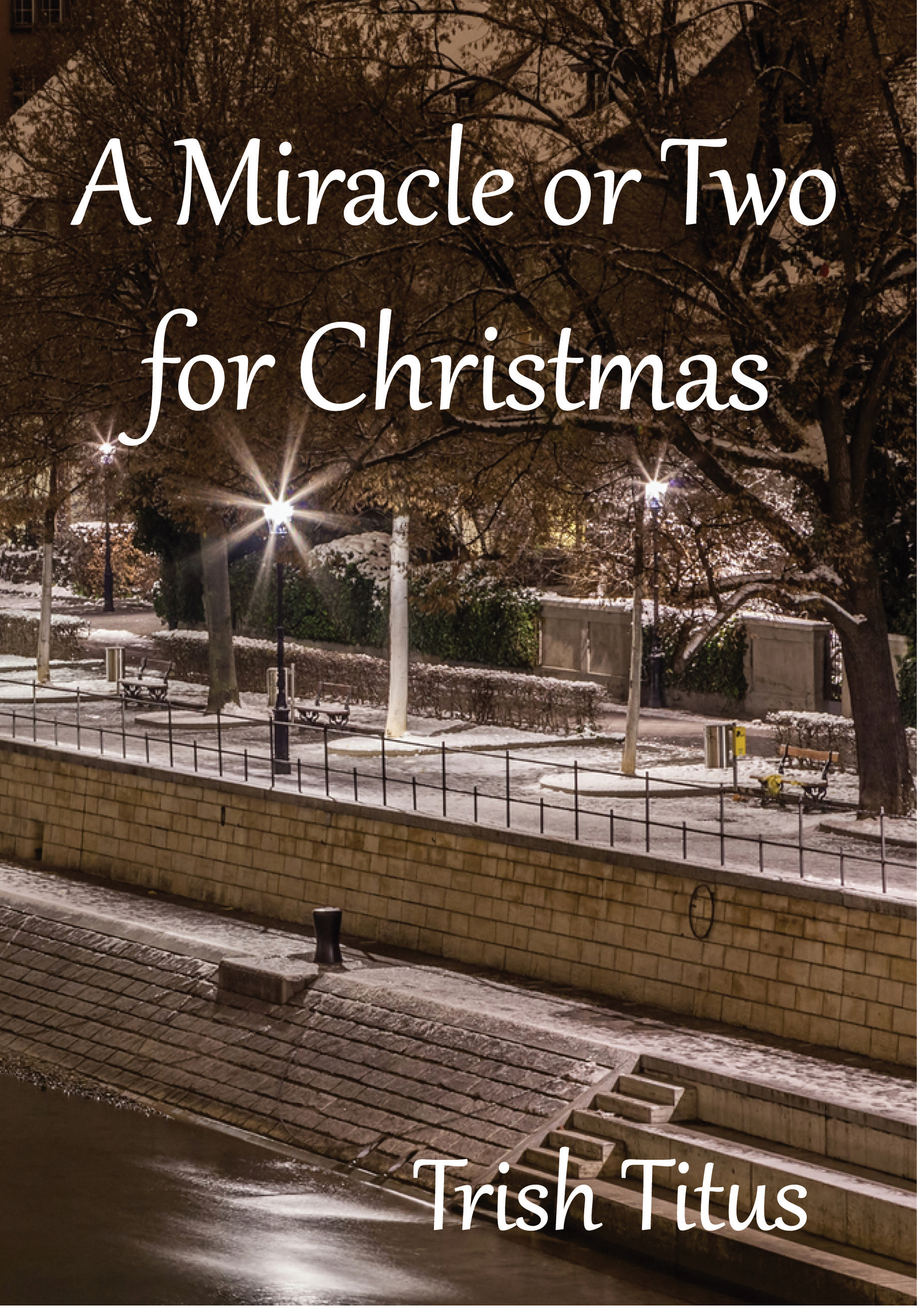 This Trilogy by Trish Titus is a must for romance readers.