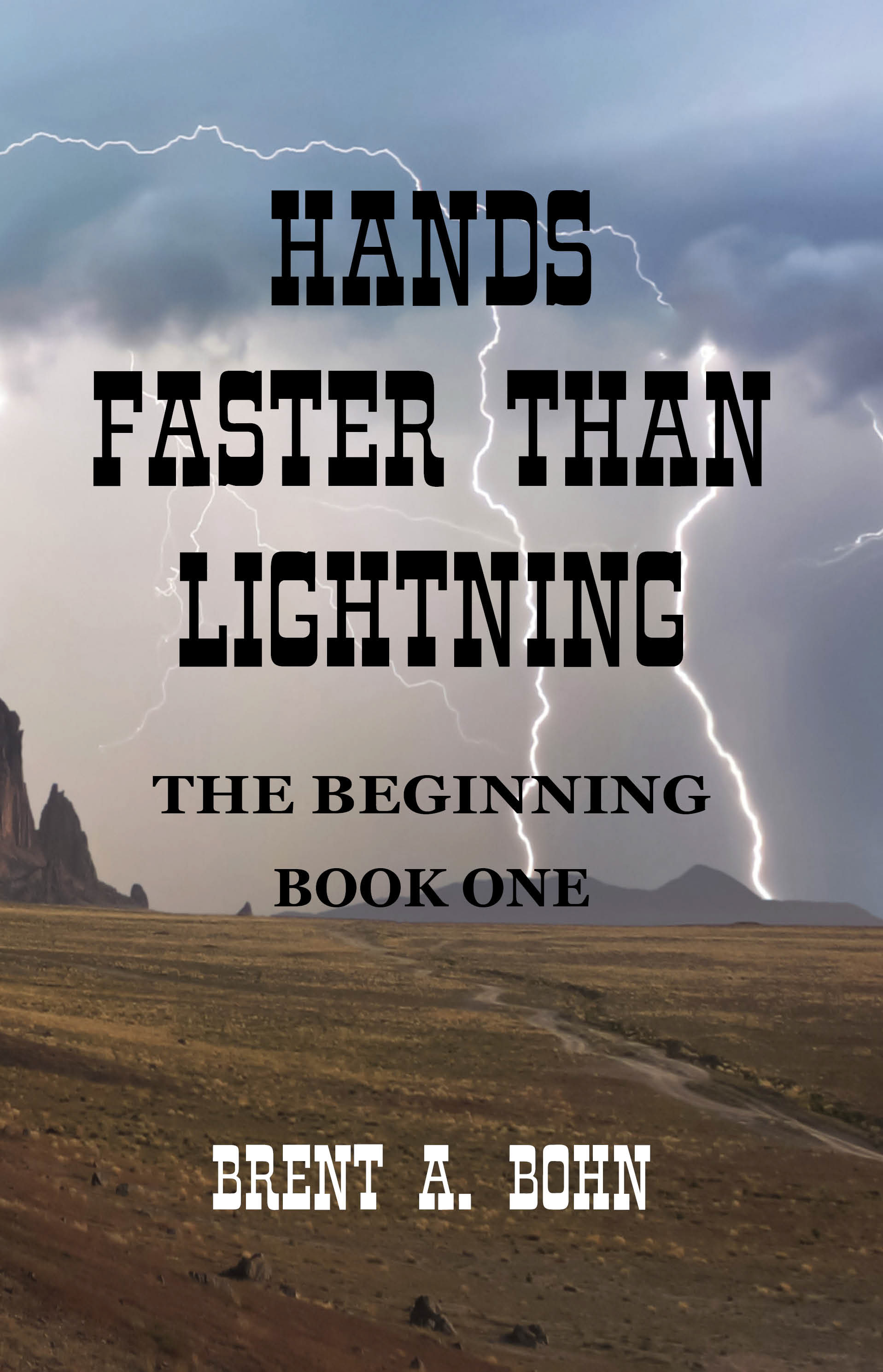 A young adult series