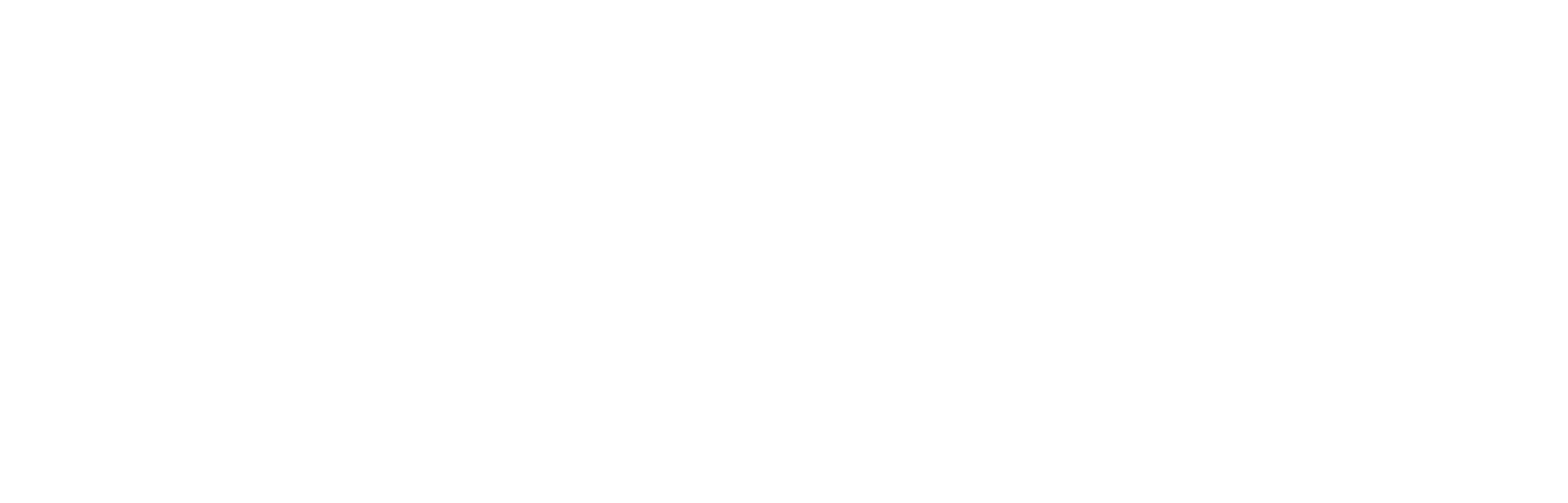 HUSOVIC MIRSEN