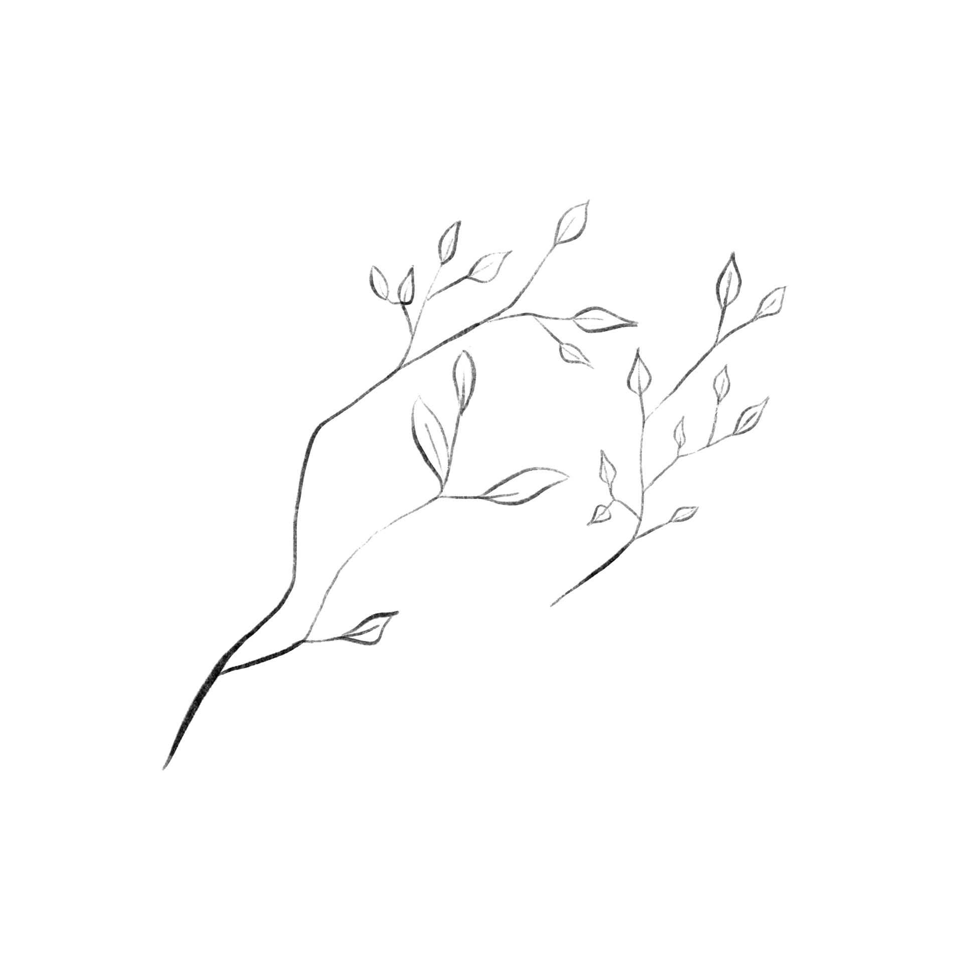 Original Motif