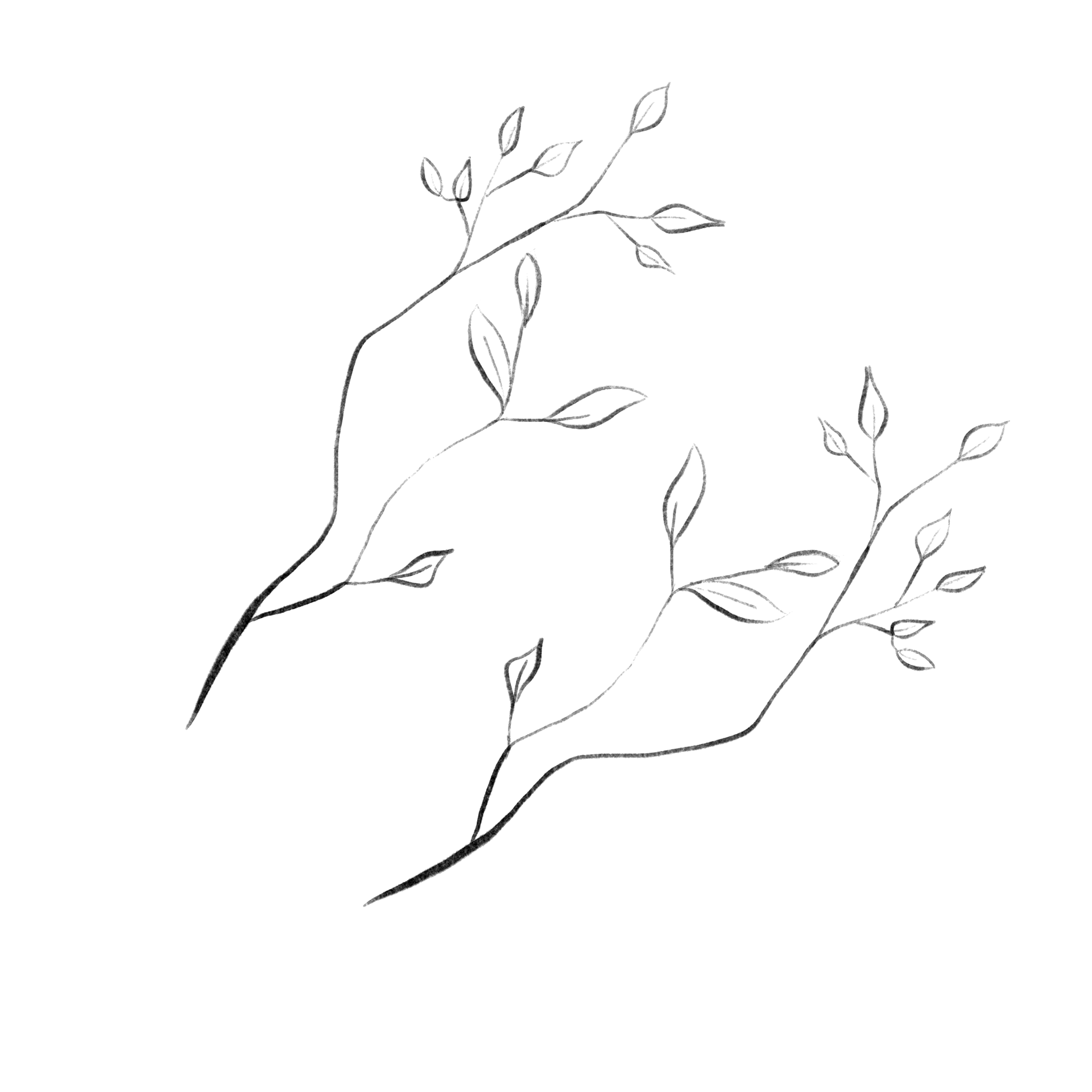 Original Motif