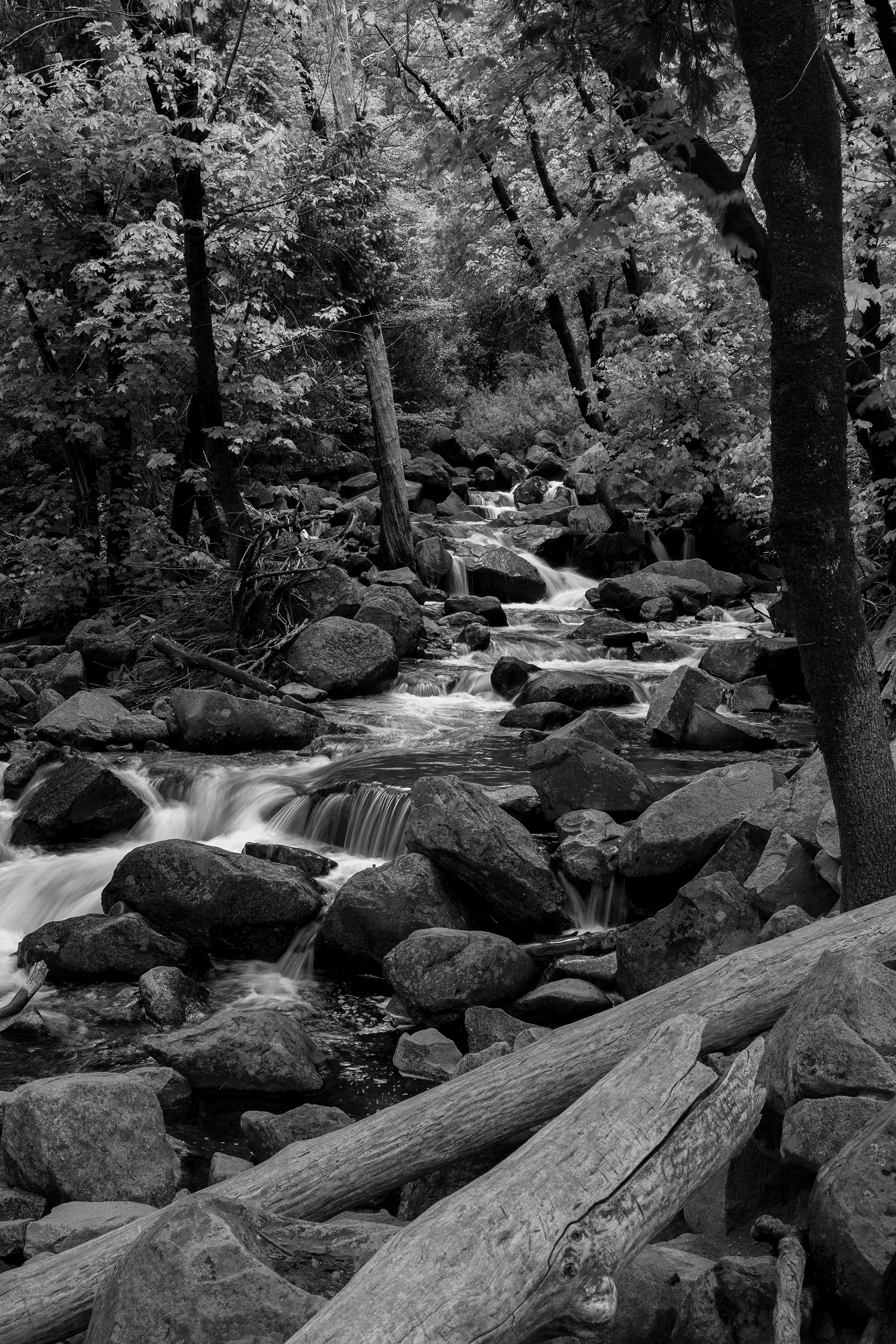 Bridalveil Creek