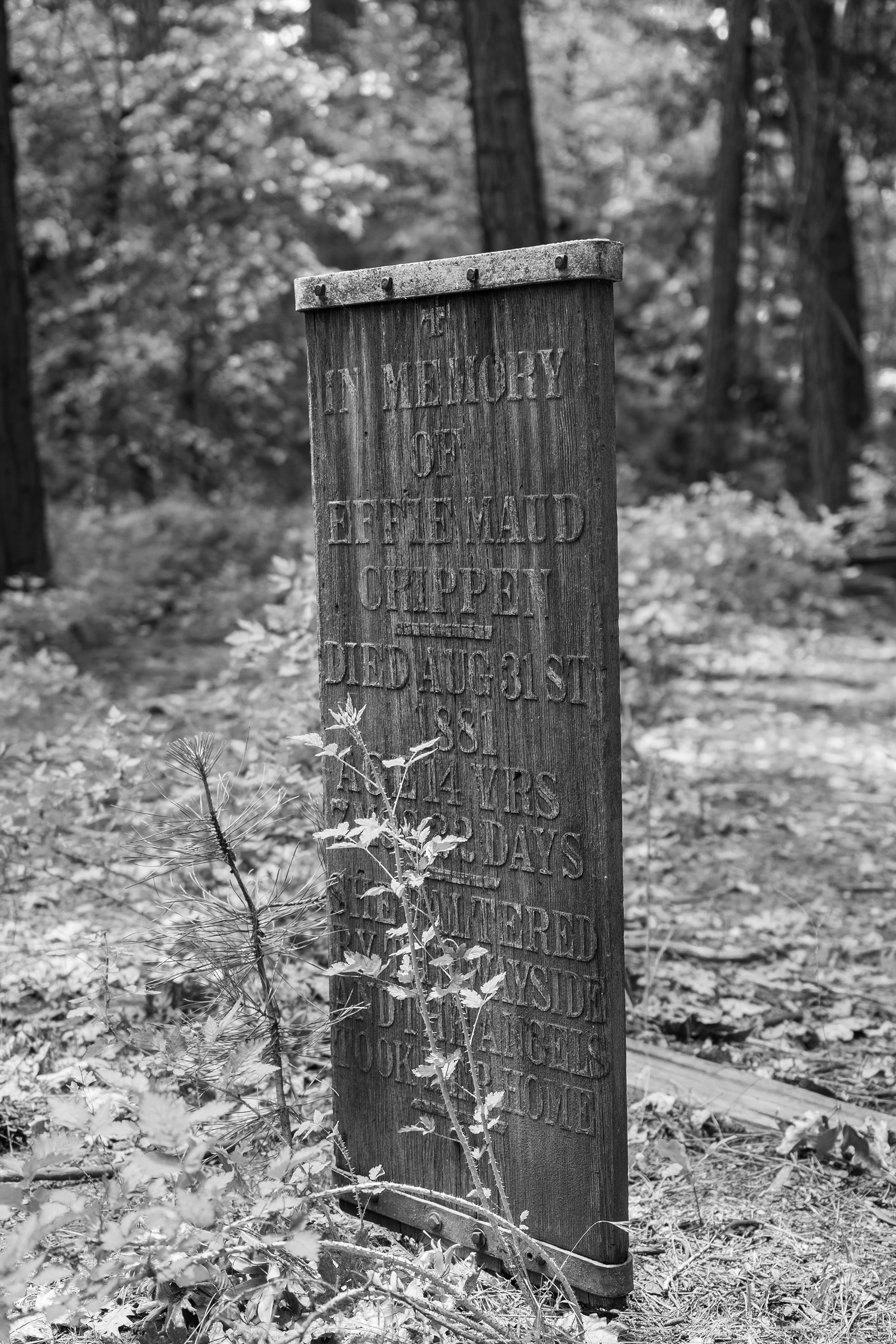 Cemetery