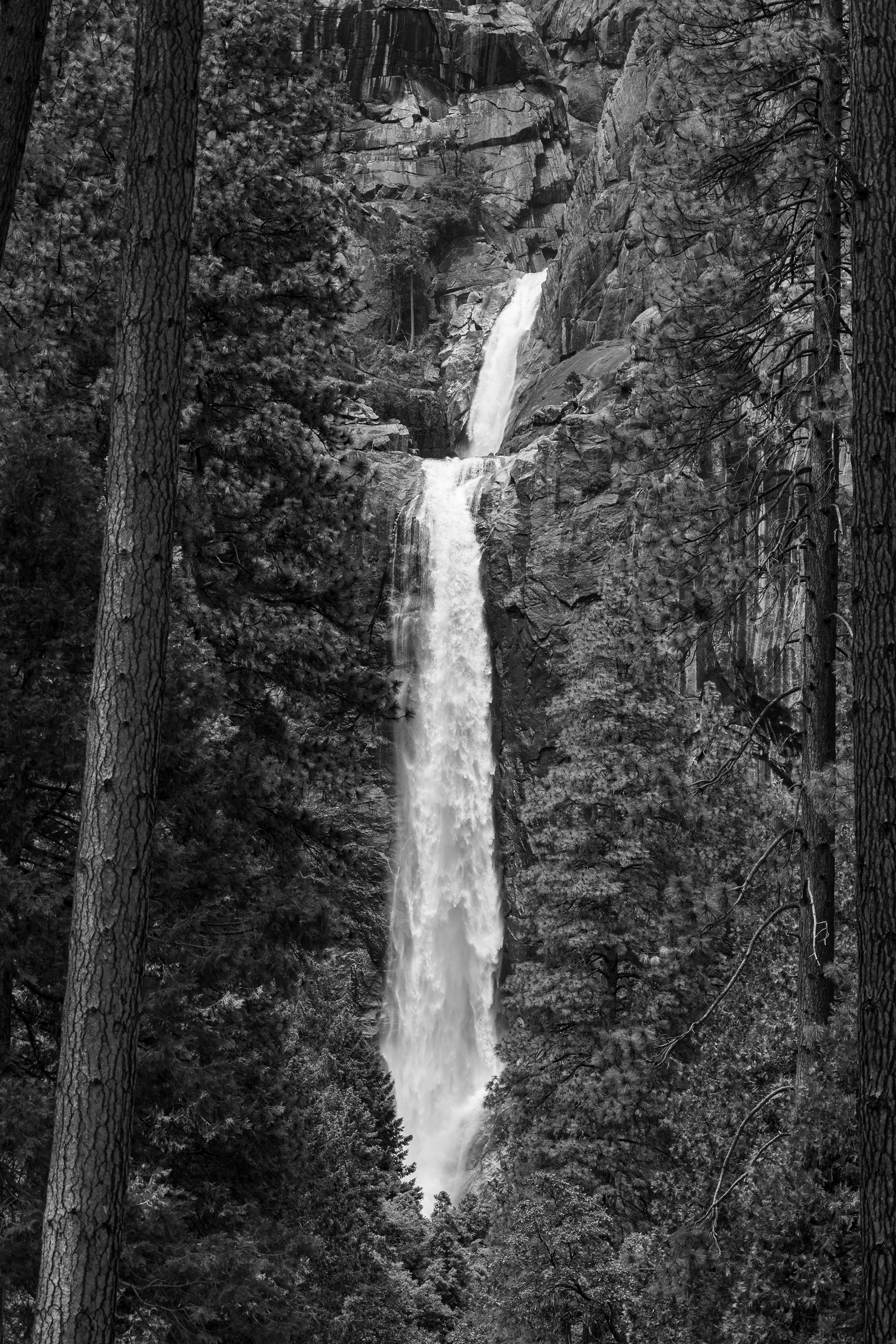 Lower Yosemite Falls